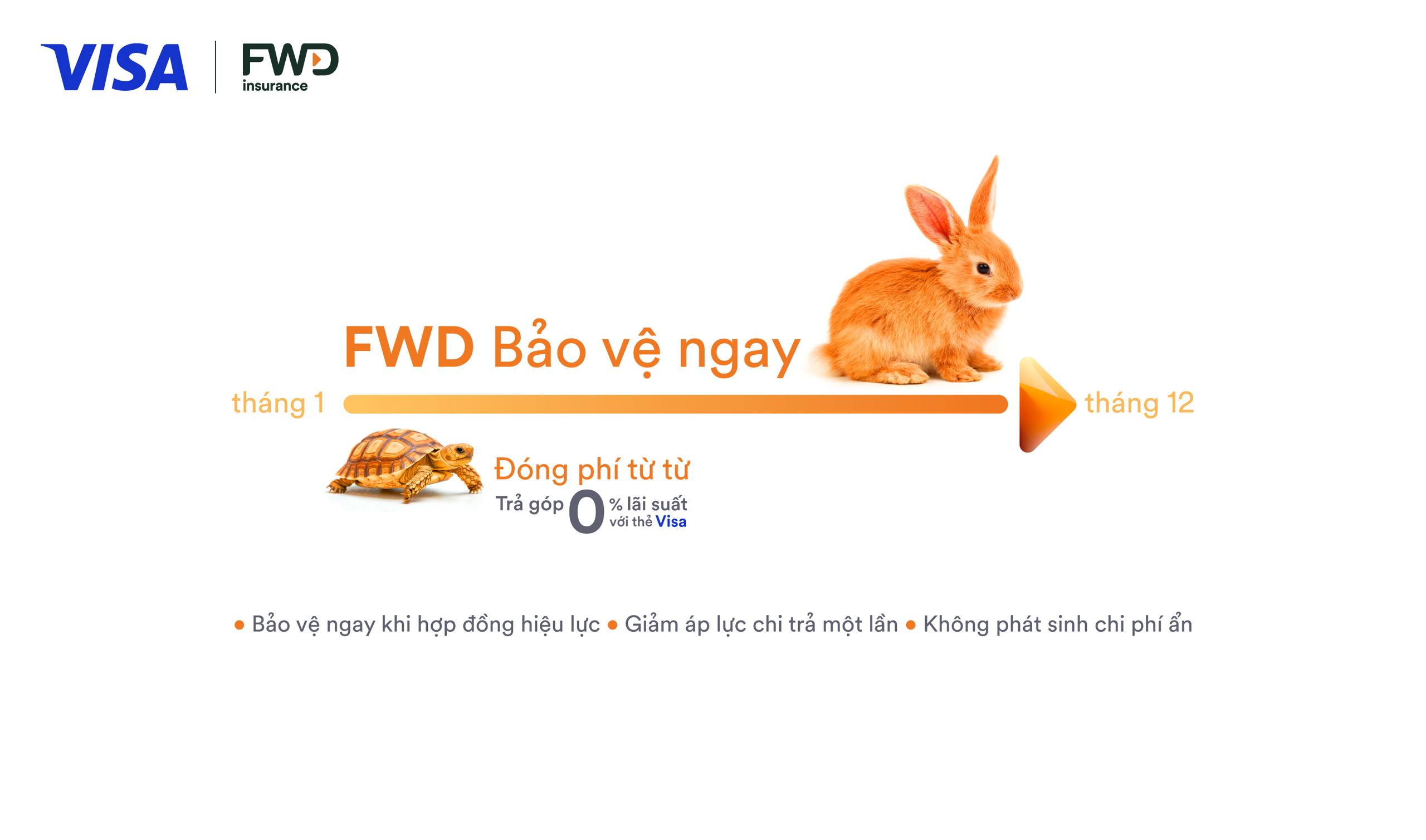 FWD hợp tác Visa mang giải pháp trả góp phí bảo hiểm linh hoạt tại Việt Nam - Ảnh 1.