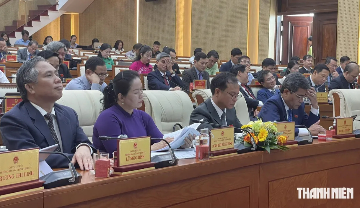 6 tháng, Quảng Ngãi thu ngân sách hơn 19.105 tỉ đồng- Ảnh 3.