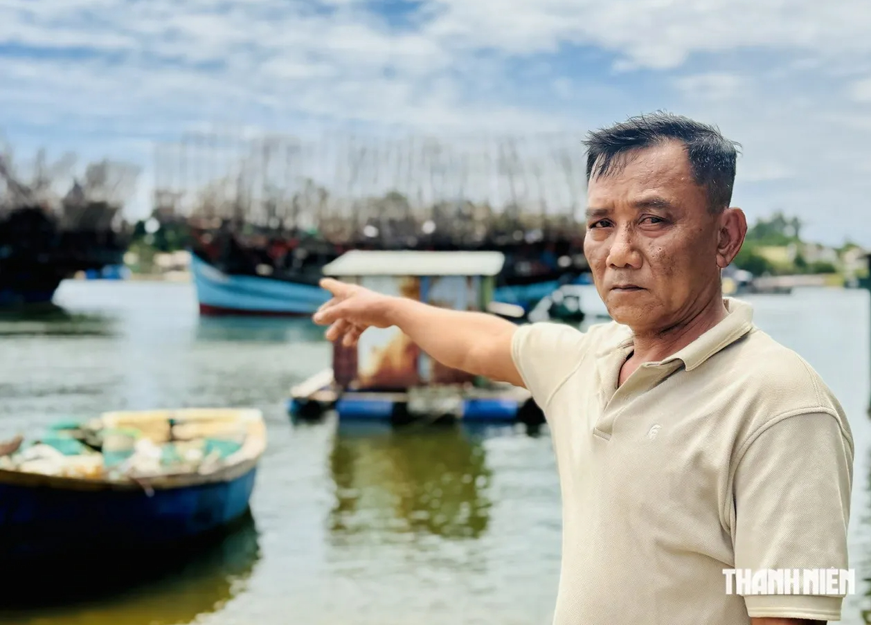 Quảng Ngãi: Ngư dân phải cho tàu dài trên 15 mét cập bến... ngoại tỉnh- Ảnh 2.