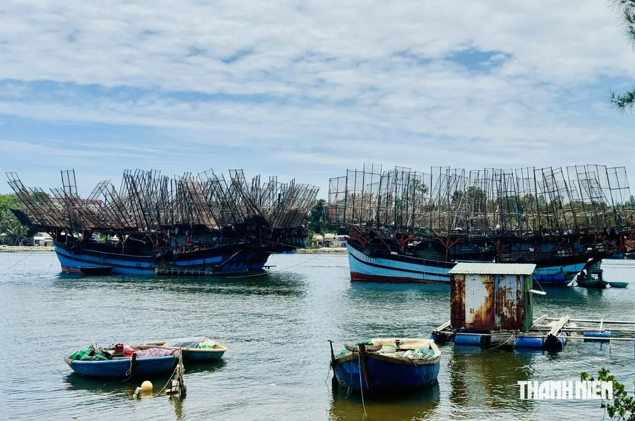 Quảng Ngãi: Ngư dân phải cho tàu dài trên 15 mét cập bến... ngoại tỉnh- Ảnh 5.