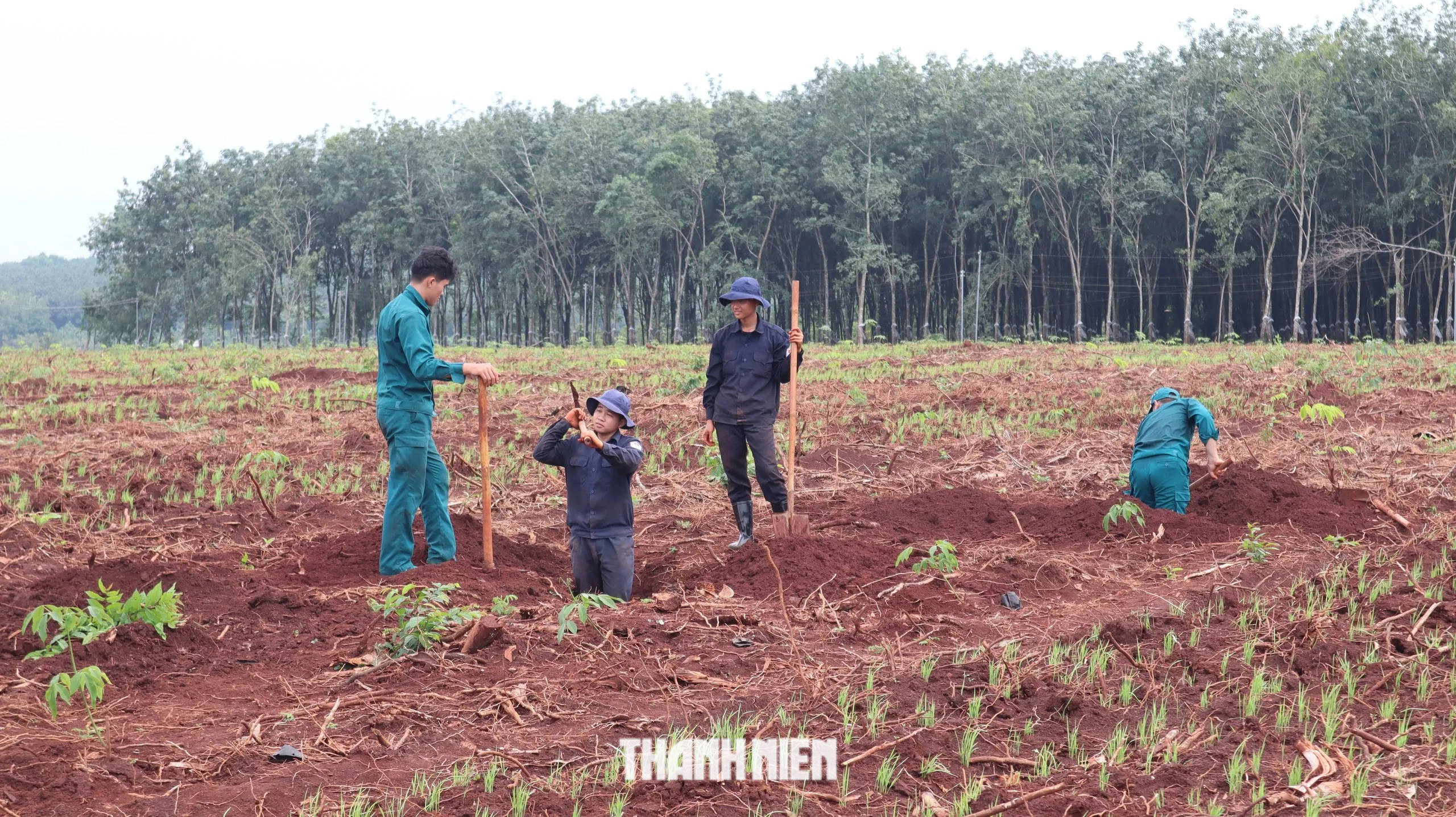 Đồng Nai: Phát hiện thêm nhiều di vật, dấu hiệu xương cốt tại xã Minh Đức - Ảnh 5.