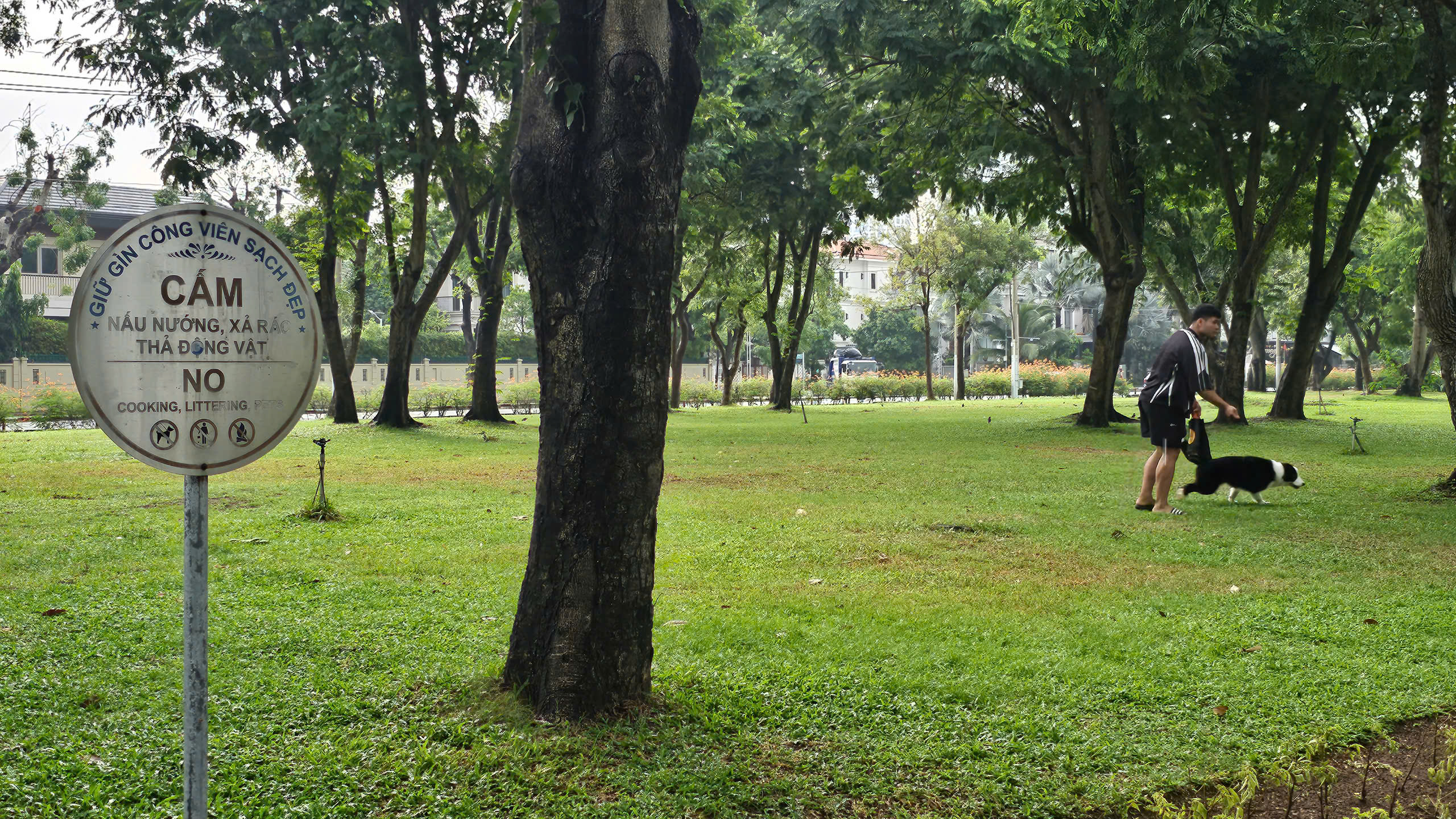 Công viên Cảnh Đồi ở TP.HCM đông nghẹt chó thả rông không rọ mõm ngày cuối tuần - Ảnh 7.