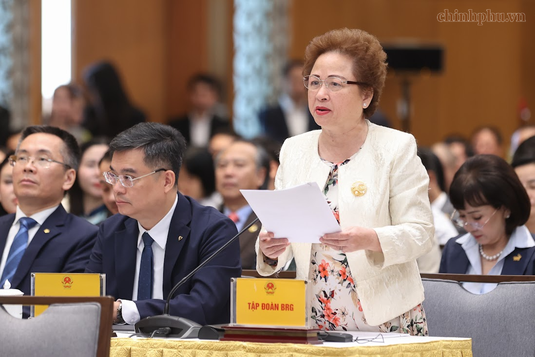 Doanh nghiệp 'hiến kế' tăng trưởng với Thủ tướng - Ảnh 1.