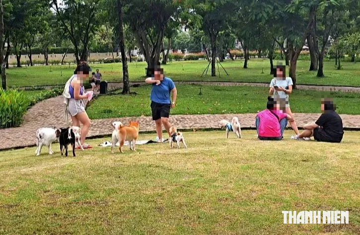 Công viên Cảnh Đồi ở TP.HCM đông nghẹt chó thả rông không rọ mõm ngày cuối tuần - Ảnh 3.
