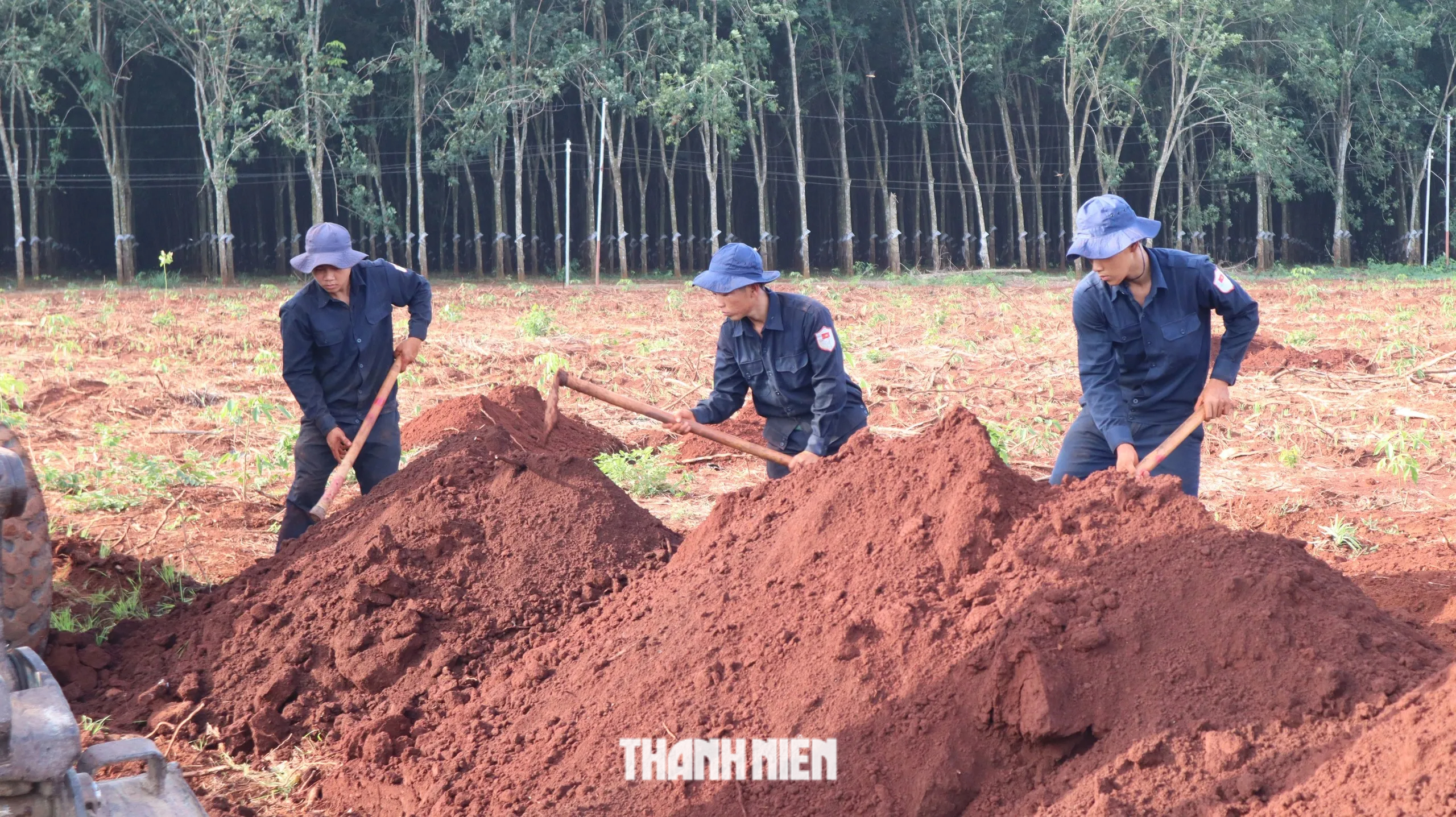 Đồng Nai: Khẩn thiết tìm nhân chứng chứng phục vụ quy tập hài cốt liệt sĩ - Ảnh 7.