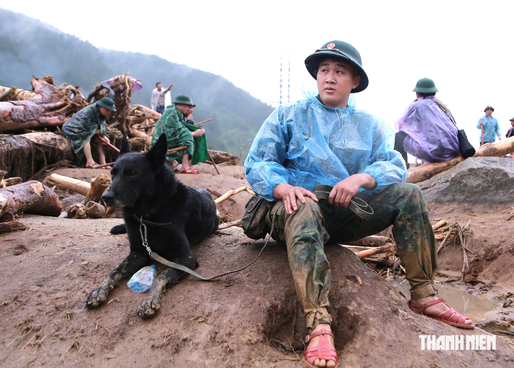 'Chiến binh 4 chân' bị thương vẫn bám hiện trường tìm nạn nhân mất tích ở Mường Than- Ảnh 2.