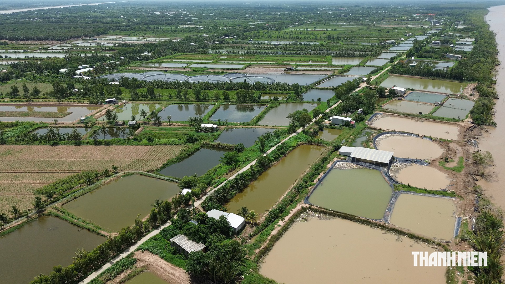 Sạt lở bờ biển ở Vĩnh Long, nguy cơ ảnh hưởng đến 200 hộ dân- Ảnh 6.