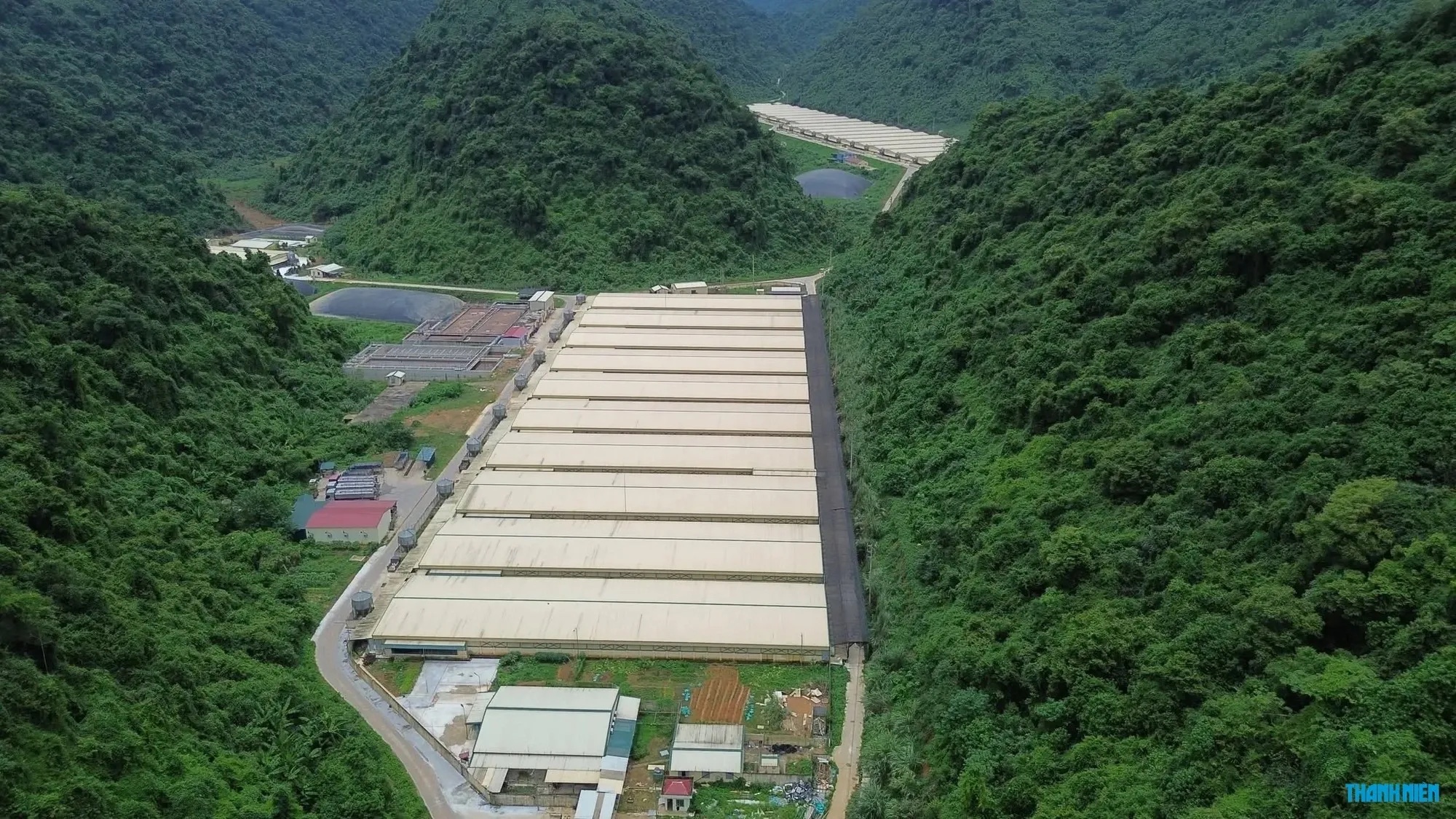 'Hội chứng búa tạ ở lò mổ' do ngộ độc cấp khí H₂S- Ảnh 1.