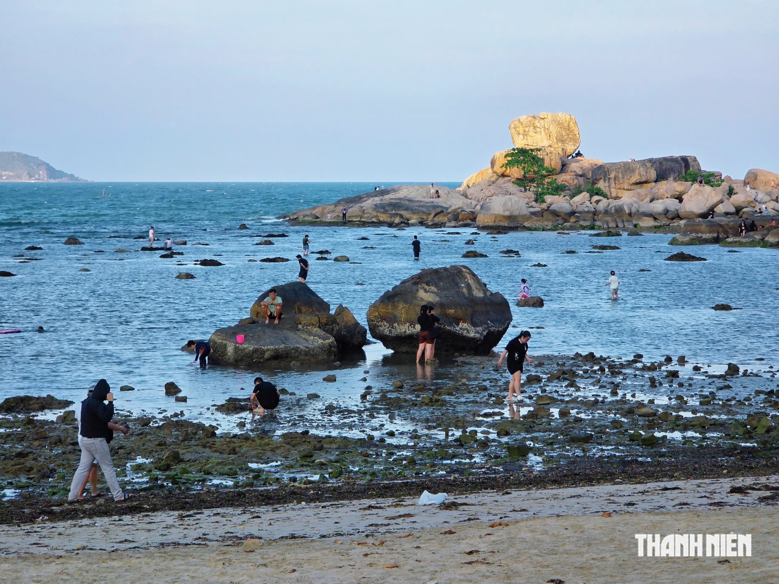 Cảnh báo nguy cơ tẩy trắng san hô ở vịnh Nha Trang - Ảnh 2.