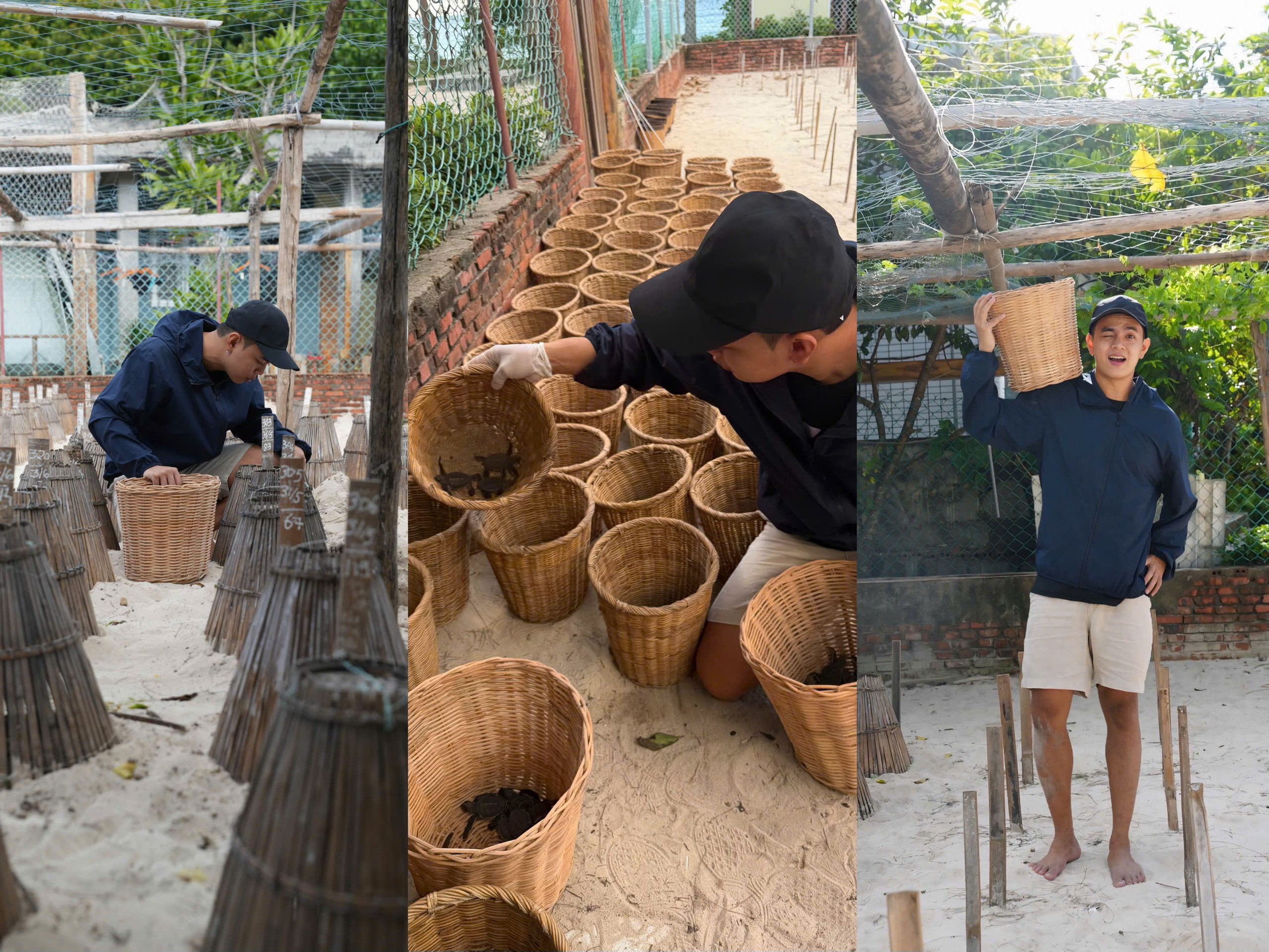 Chàng trai bảo tồn rùa biển bằng những đêm thức trắng - Ảnh 4.