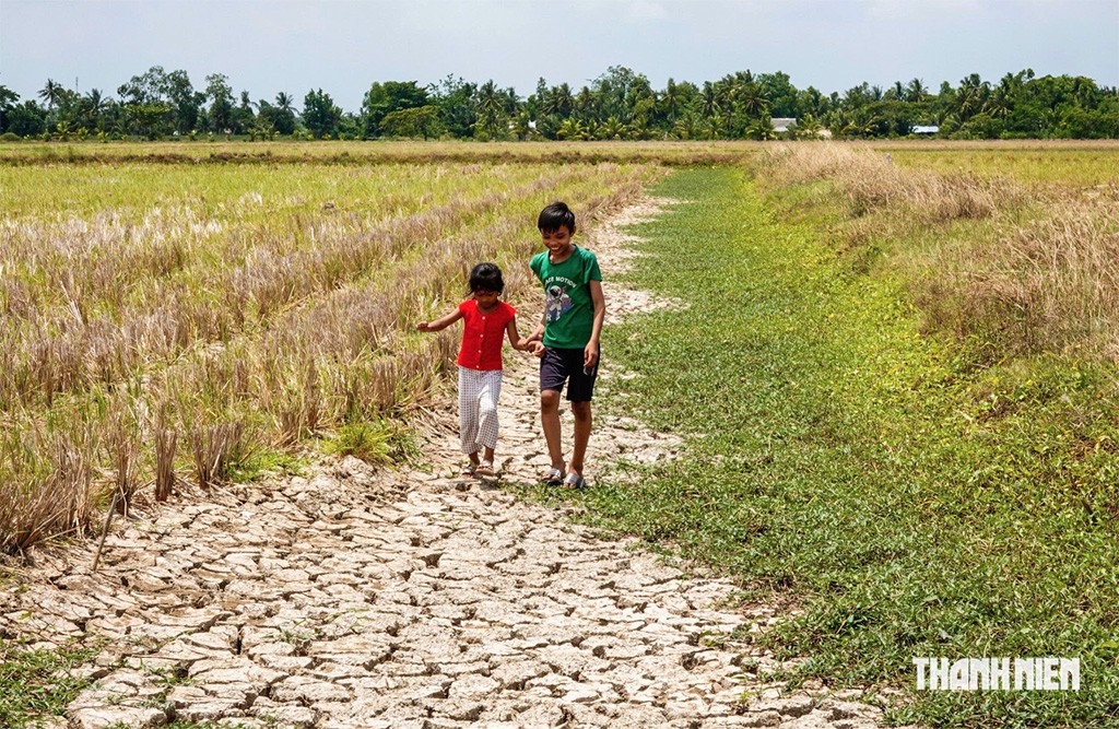 Bảo vệ vựa lúa miền Tây trước 'siêu El Nino' thế nào?- Ảnh 1.