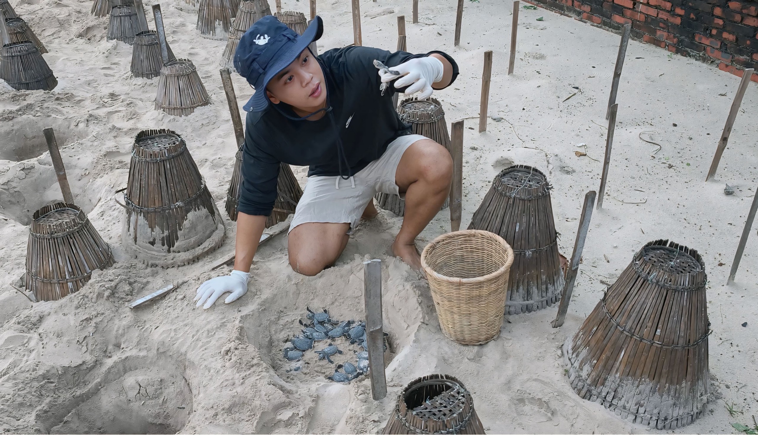 Chàng trai bảo tồn rùa biển bằng những đêm thức trắng - Ảnh 5.