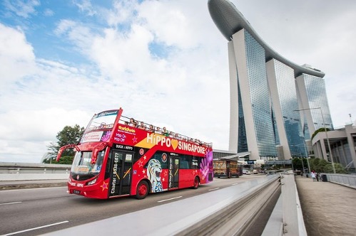 Vì sao nhiều gia đình chọn Singapore cho chuyến xuất ngoại đầu tiên của con? - Ảnh 3.