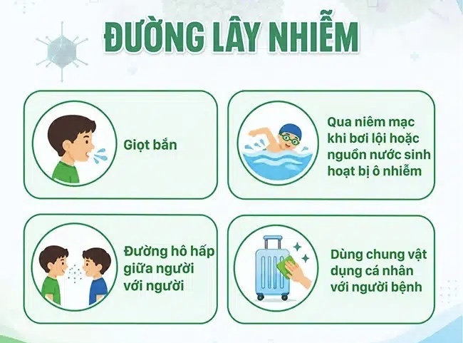 Bộ Y tế có công văn khẩn về gia tăng ca bệnh do virus Adeno- Ảnh 1.