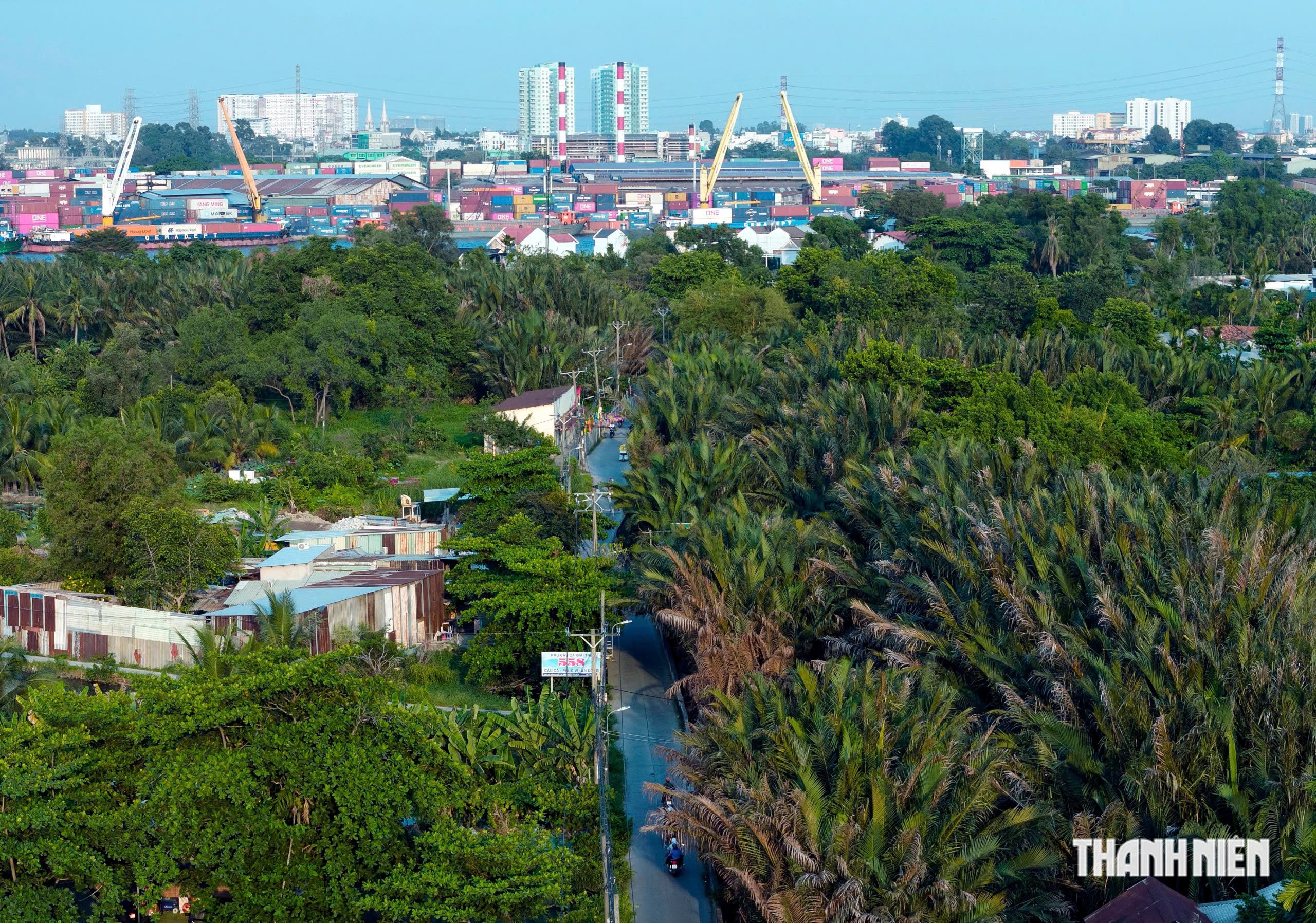 TP.HCM giảm gần 60.000 ha đất nông nghiệp 5 năm tới - Ảnh 2.