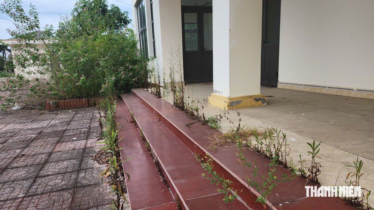 Sau 5 năm bỏ hoang, Trạm kiểm dịch 8 tỉ đồng sắp có đường vào - Ảnh 5.