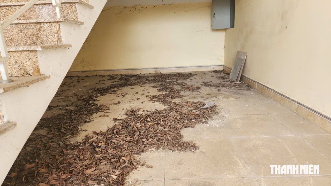 Sau 5 năm bỏ hoang, Trạm kiểm dịch 8 tỉ đồng sắp có đường vào - Ảnh 6.