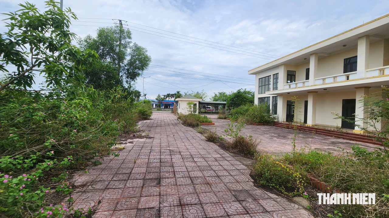 Sau 5 năm bỏ hoang, Trạm kiểm dịch 8 tỉ đồng sắp có đường vào - Ảnh 4.