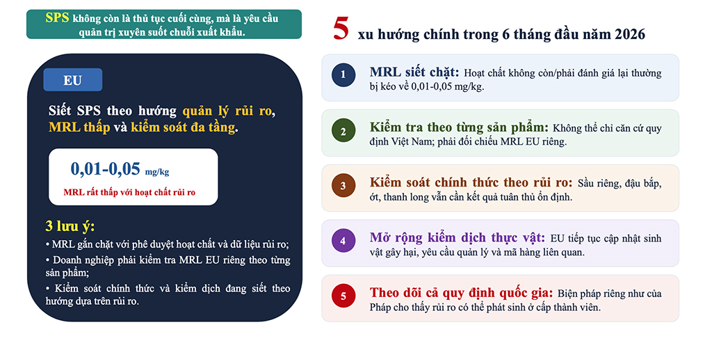 EU siết quản lý, nông sản Việt Nam ứng phó thế nào?- Ảnh 2.