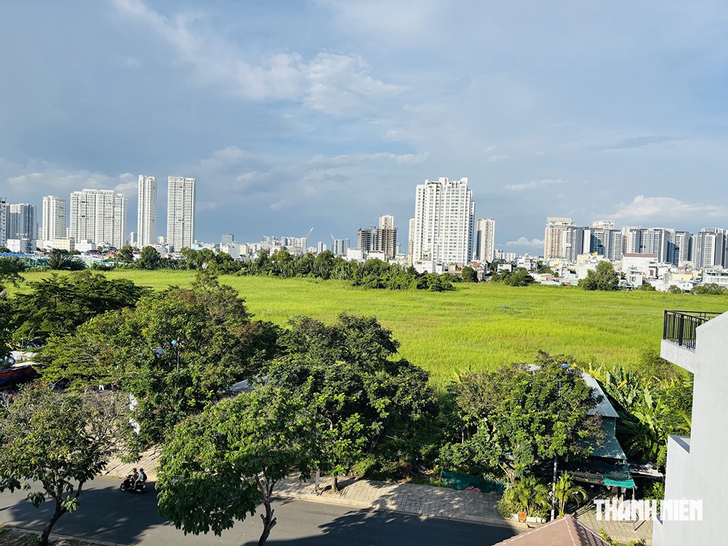 Lại đề xuất áp thuế cao với đất bỏ hoang- Ảnh 1.
