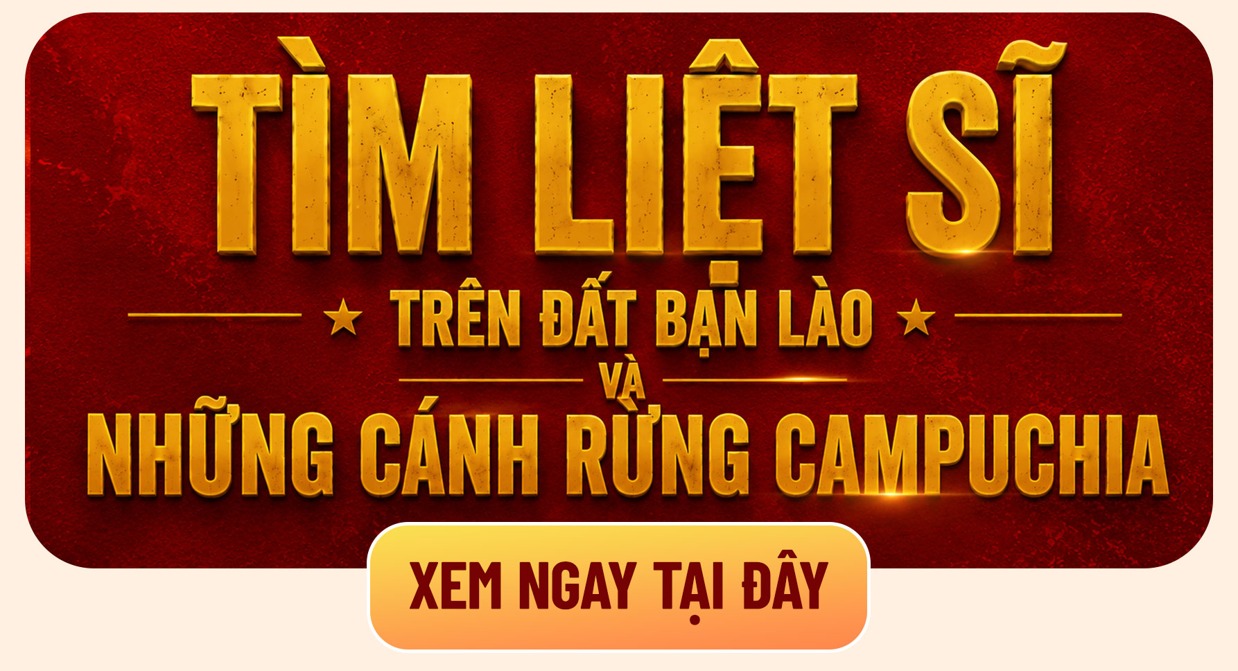 500 ng&agrave;y đ&ecirc;m đi t&igrave;m đồng đội: Mỗi h&agrave;i cốt được t&igrave;m thấy l&agrave; một cuộc trở về - Ảnh 33.