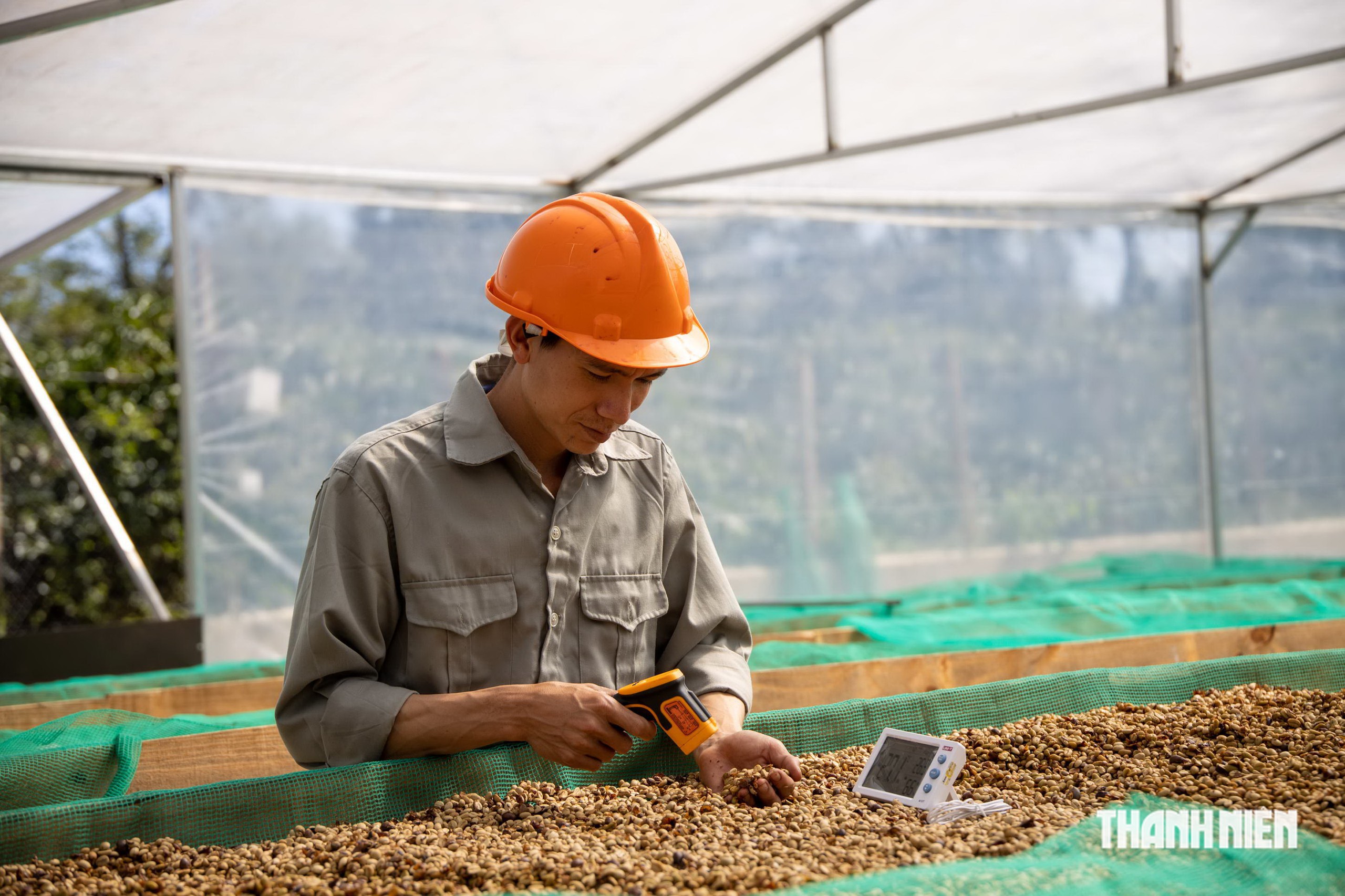 Kinh nghiệm vượt khó- Ảnh 1.