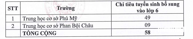 हो ची मिन्ह सिटी के कई सरकारी स्कूल प्रीस्कूल, पहली कक्षा और छठी कक्षा के लिए अतिरिक्त छात्रों की भर्ती कर रहे हैं - फोटो 7।