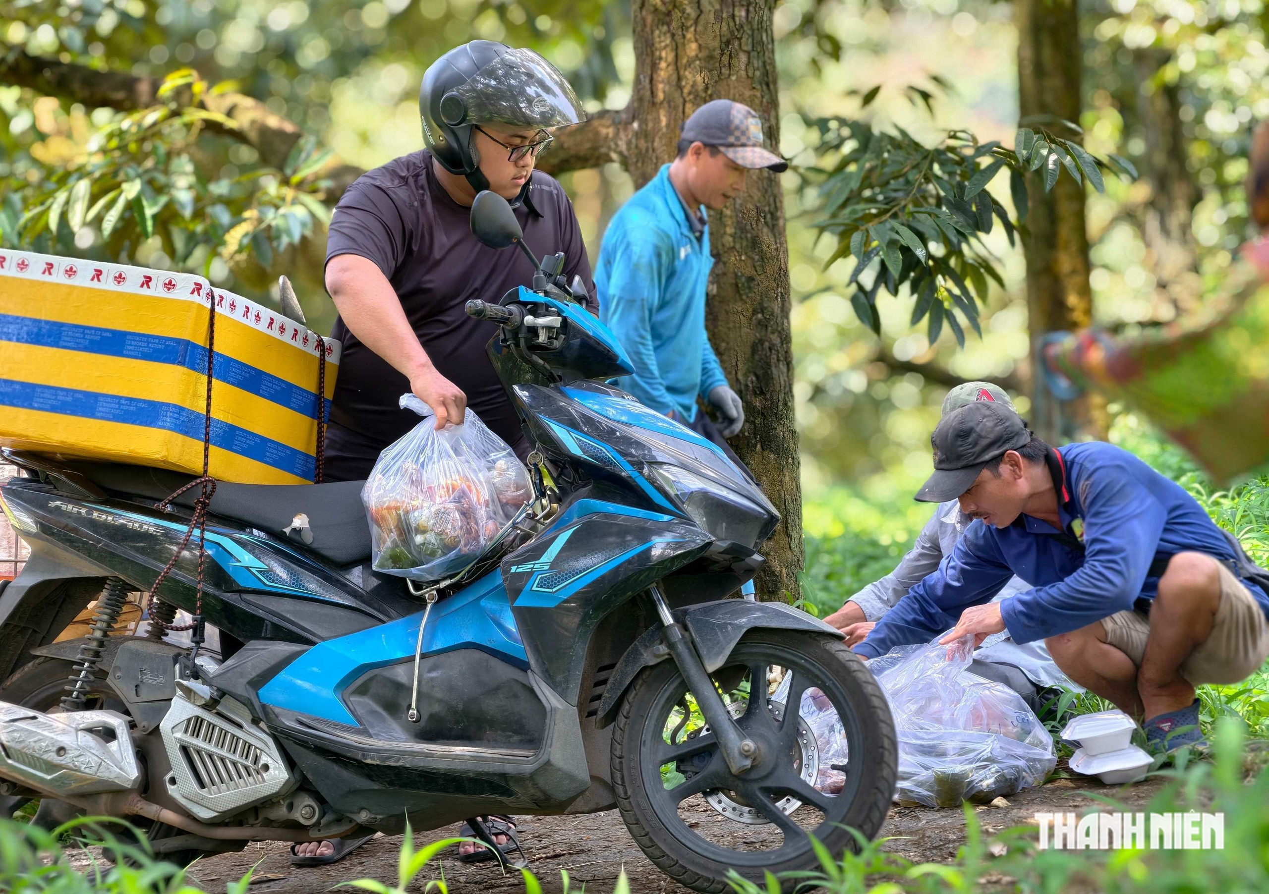 &ldquo;Người nhện&rdquo; h&aacute;i sầu ri&ecirc;ng kiếm tiền triệu mỗi ng&agrave;y  - Ảnh 18.