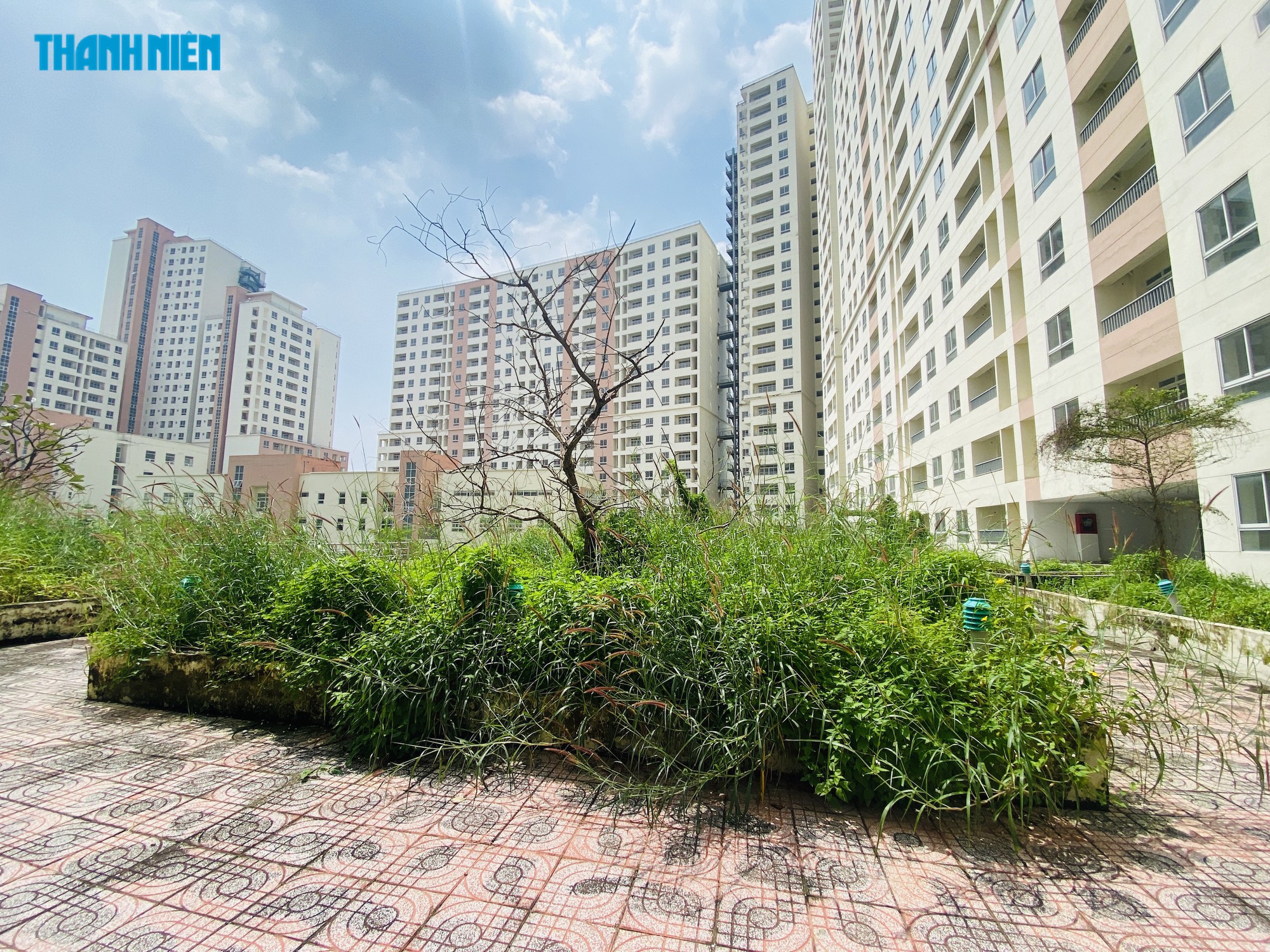Đề xuất cho TP.HCM được chuyển đổi linh hoạt giữa các loại nhà ở - Ảnh 1.