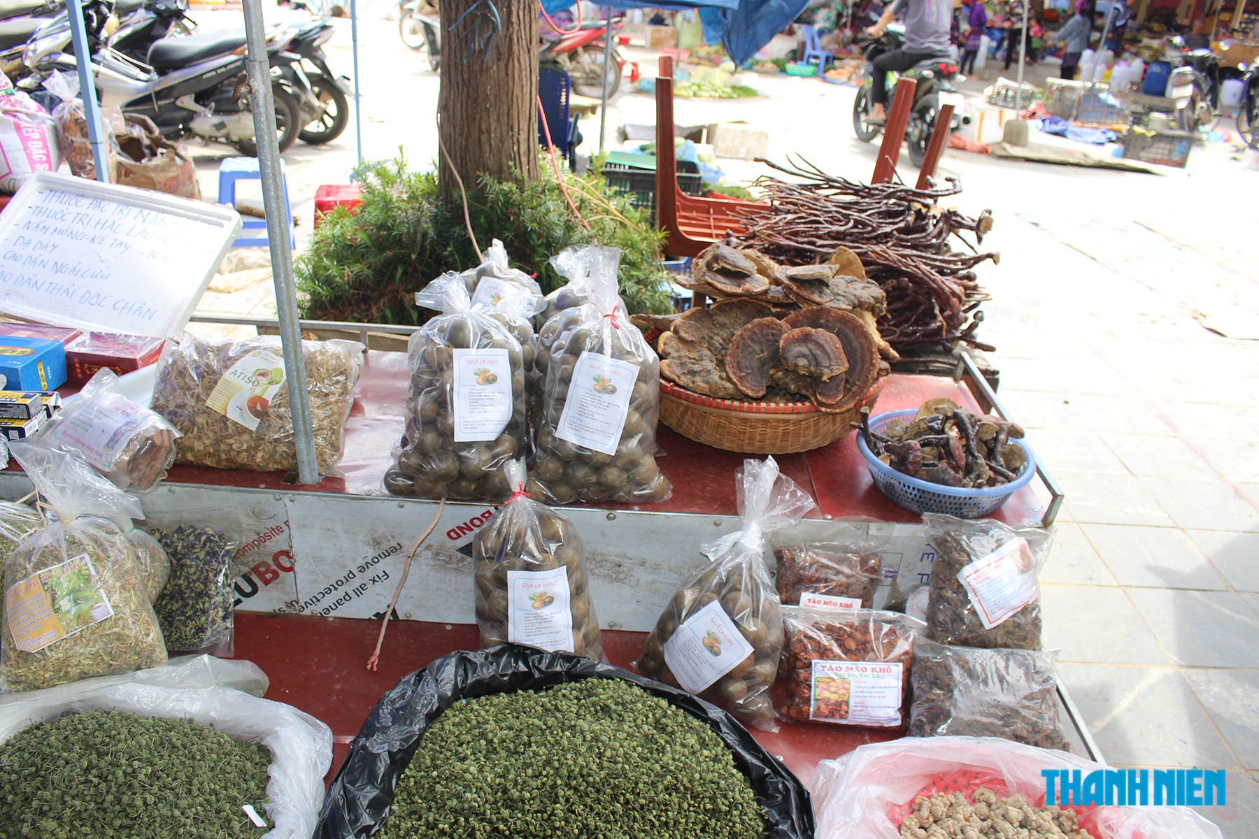 Cây thuốc, 'mỏ vàng xanh' tỉ USD- Ảnh 1.