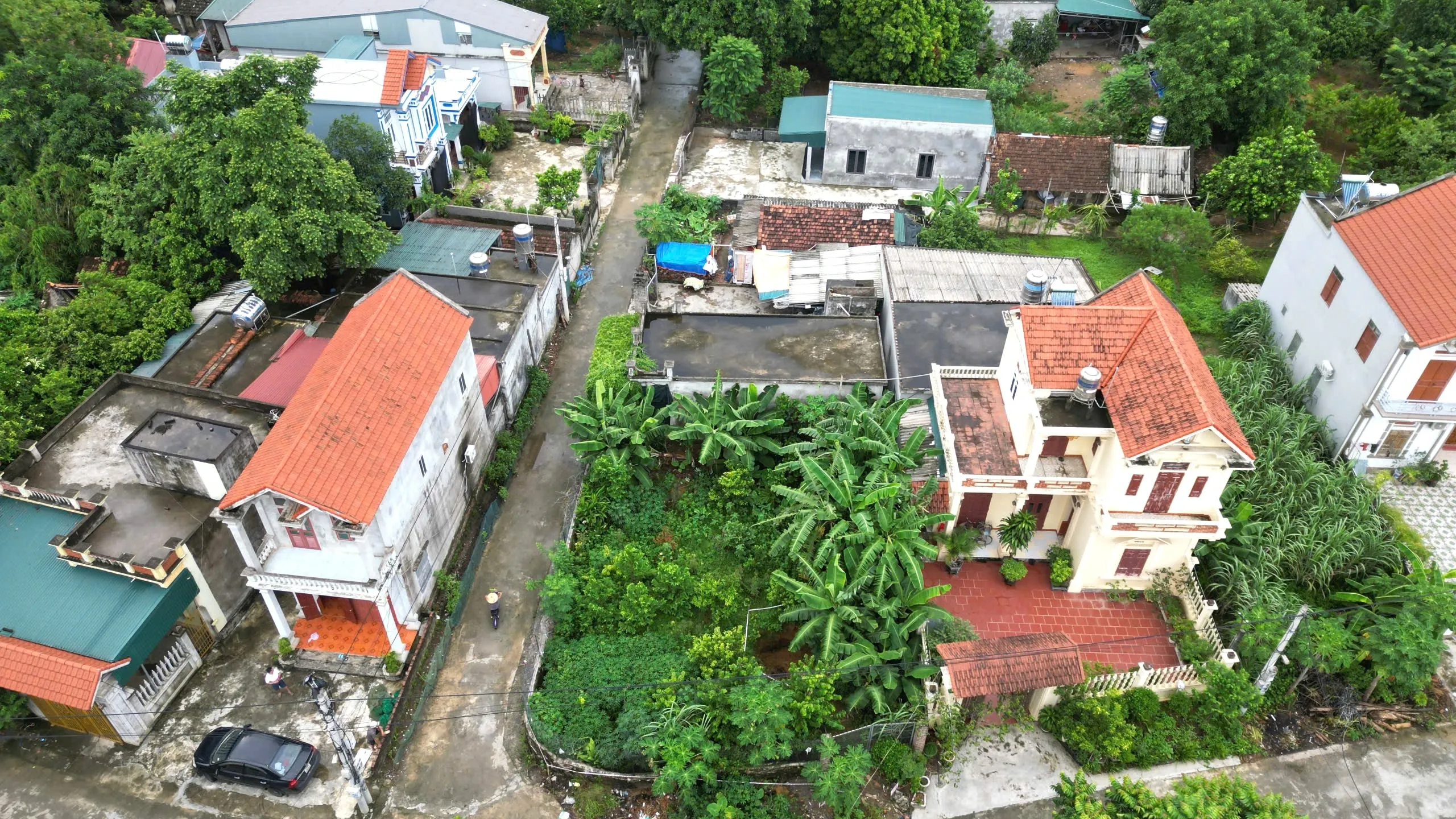 Ninh Bình: Xuất hiện nhiều hố sụt lún, người dân hoang mang- Ảnh 3.