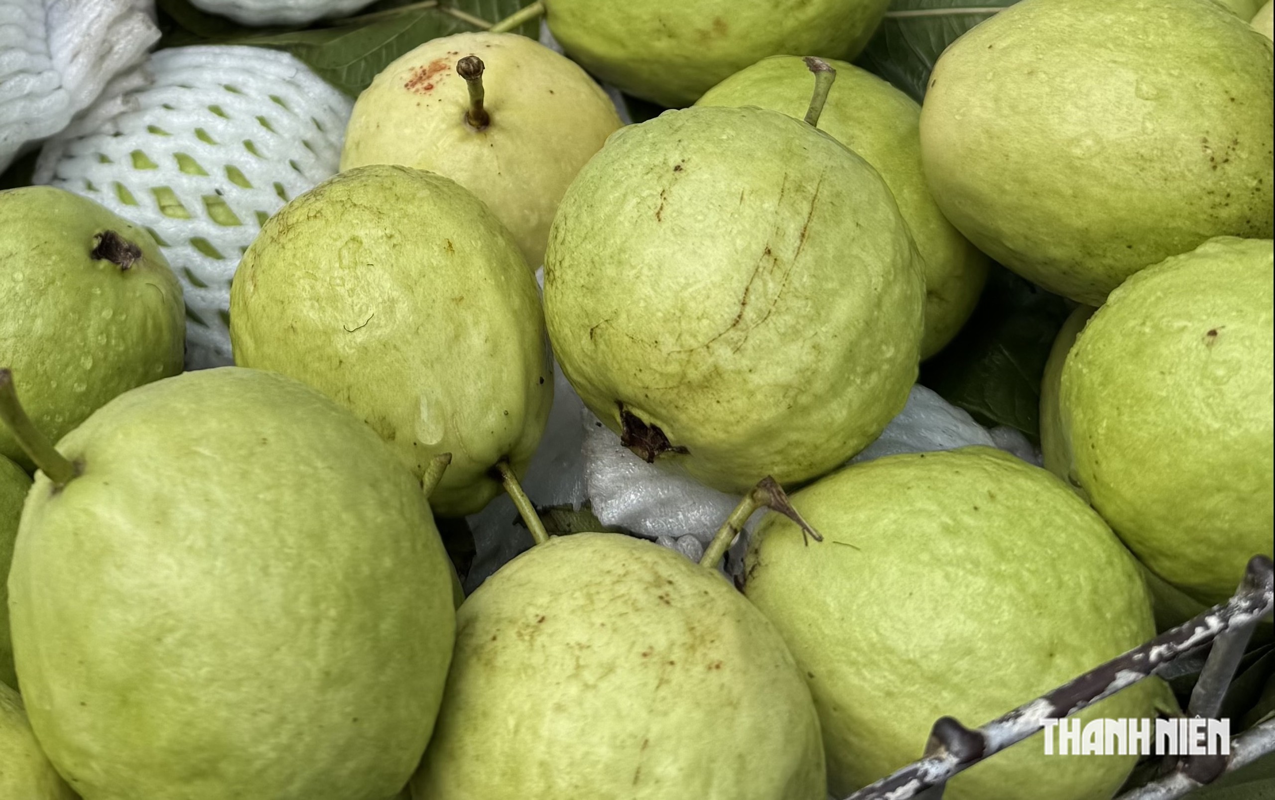Bác sĩ: Ăn trái cây hay uống nước ép tốt hơn cho đường huyết? - Ảnh 1.