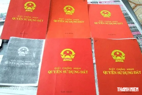 Đề xuất cấp sổ đỏ cả bản giấy và điện tử- Ảnh 1.