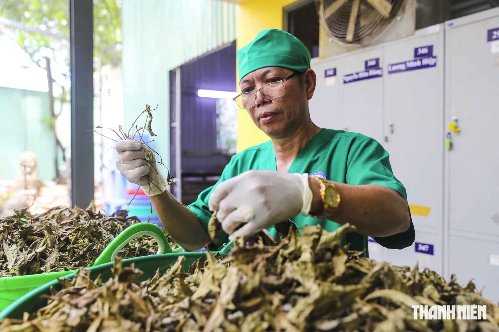 Mở hành lang pháp lý để y học cổ truyền VN phát triển - Ảnh 1.