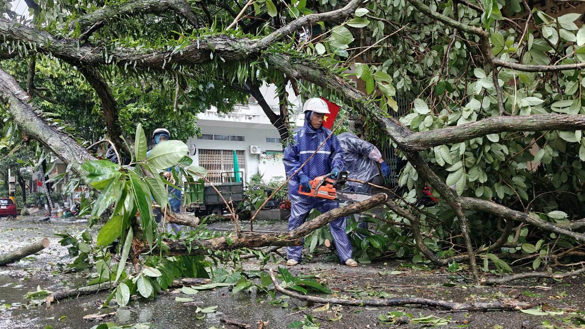Xác minh 3 ngư dân mất tích sau bão số 1 ở Móng Cái - Ảnh 5.