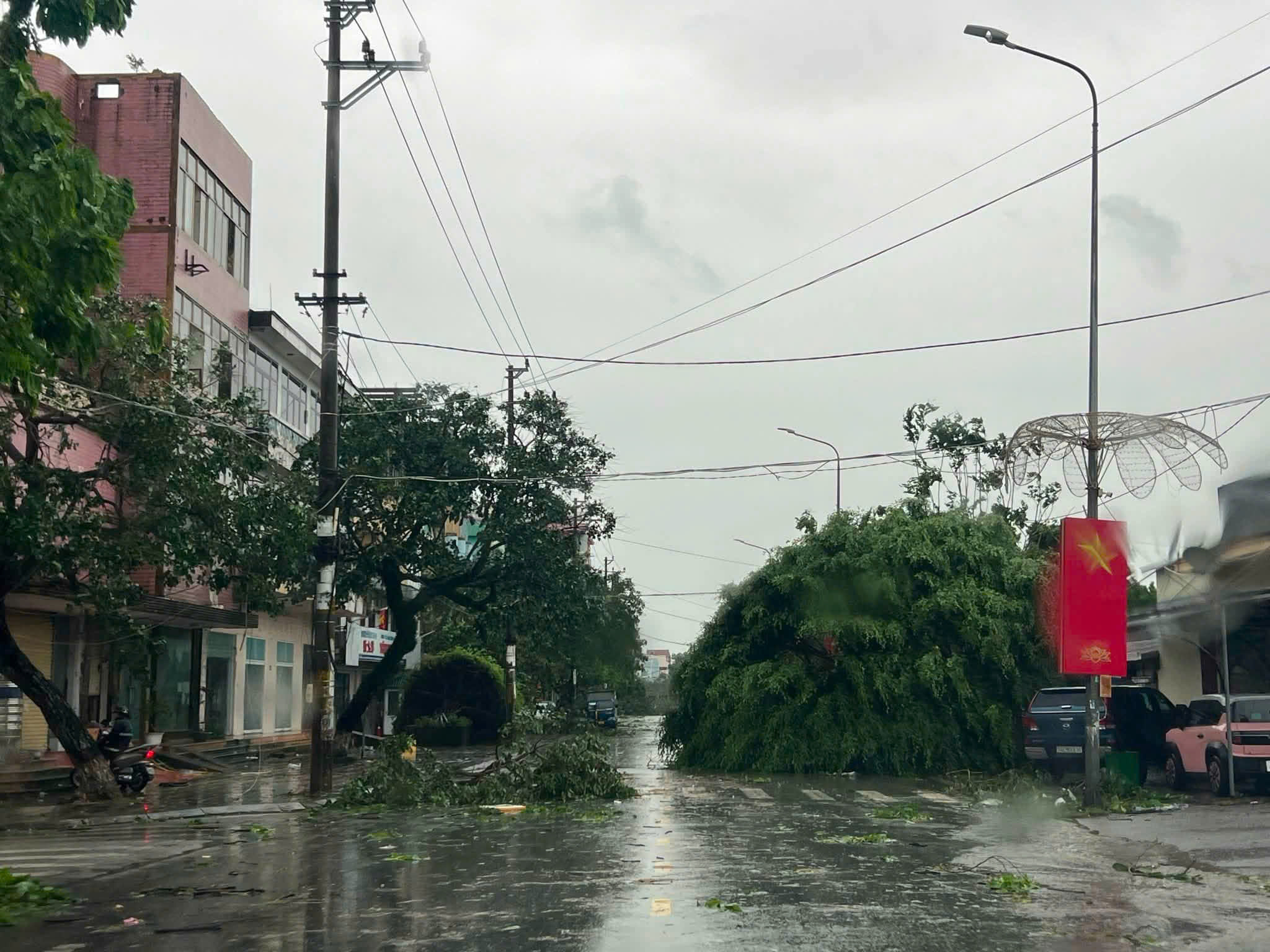Bão số 1 quật ngã hàng trăm cây xanh, mái tôn ở Móng Cái - Ảnh 2.