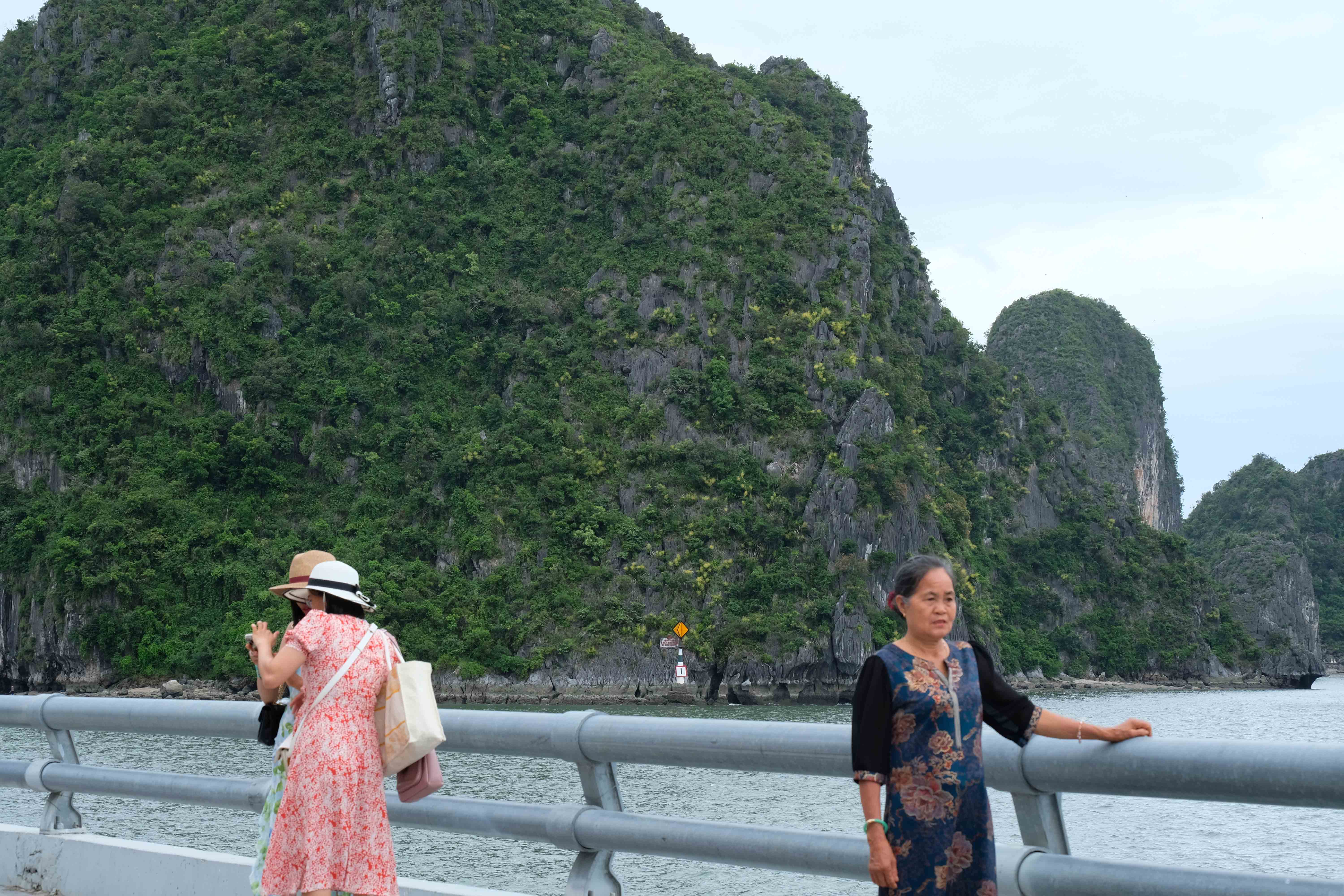 Bão đi qua hoa Phát tài núi vẫn rực vàng trên vịnh Hạ Long - Ảnh 9.