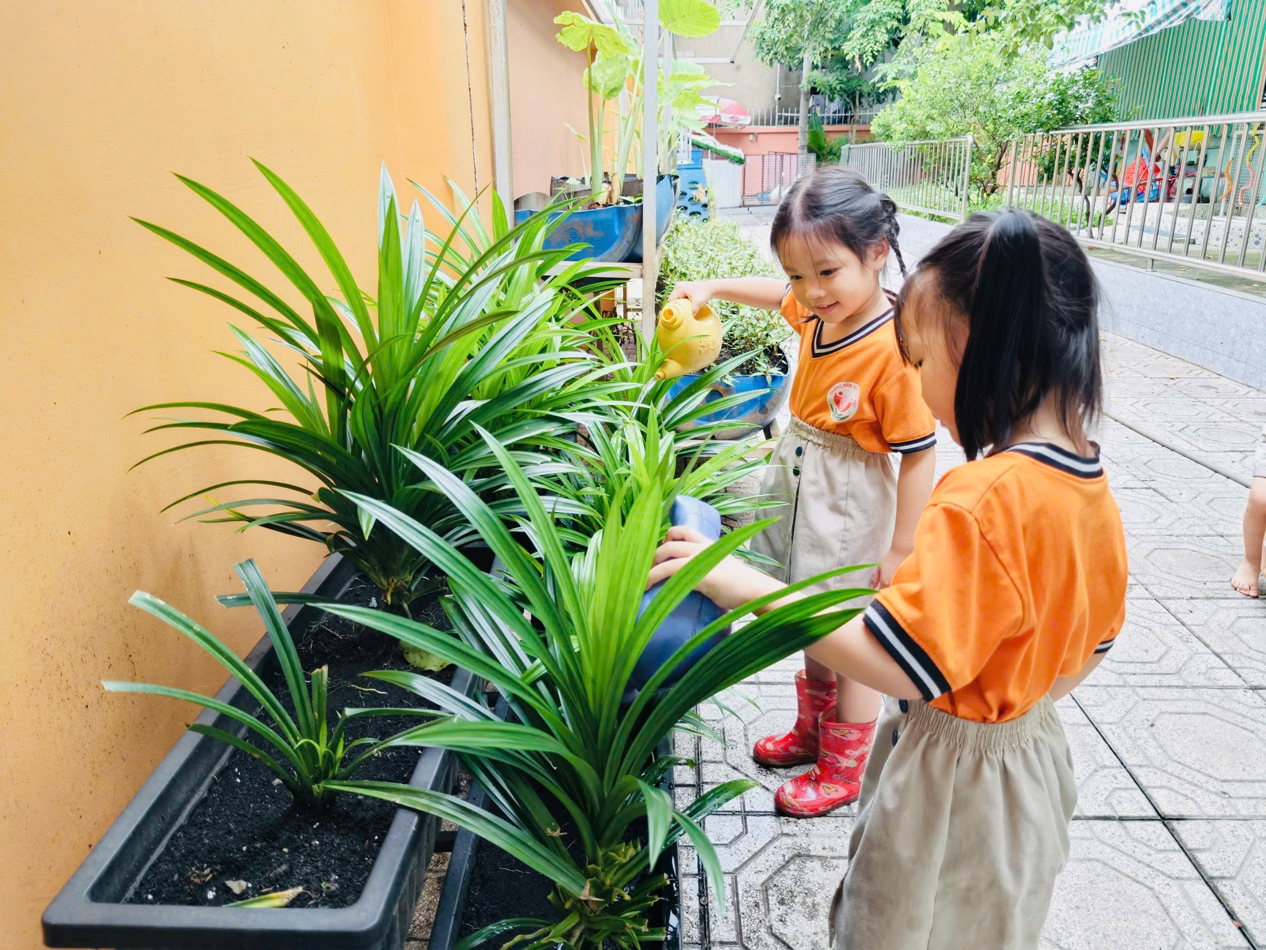 Trẻ mầm non TP.HCM làm gì ở trường trong hè?- Ảnh 4.