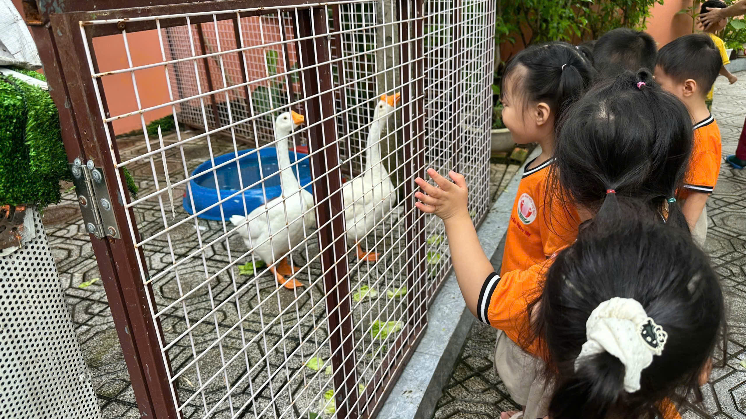 Trẻ mầm non TP.HCM làm gì ở trường trong hè?- Ảnh 3.