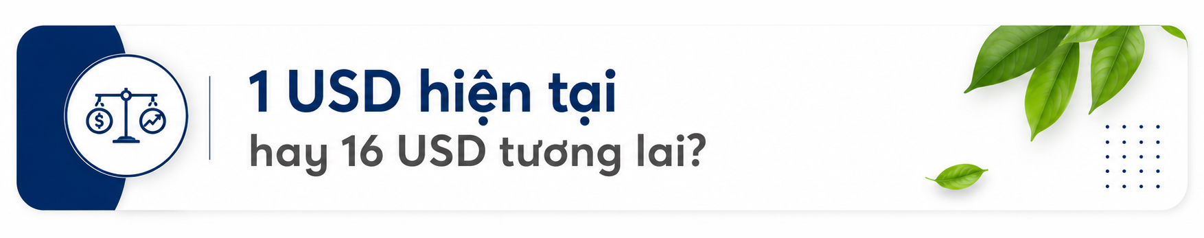 - Ảnh 10.