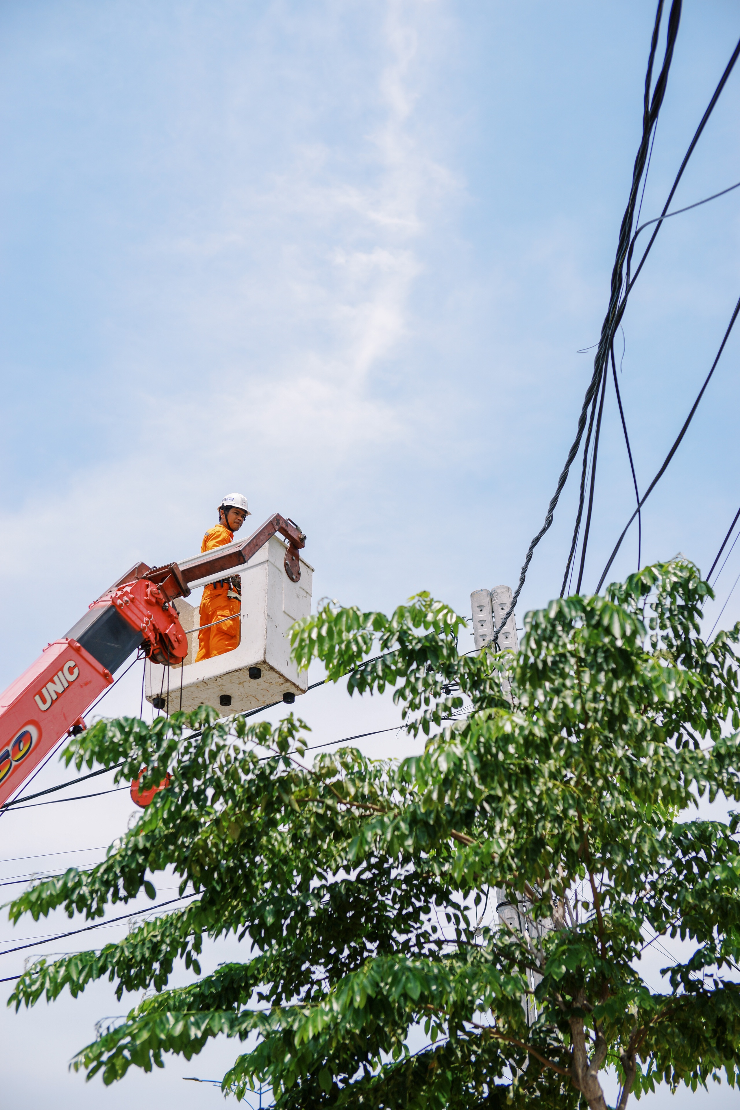 Ảnh dự thi: Vươn cao giữ sáng - Ảnh 5.