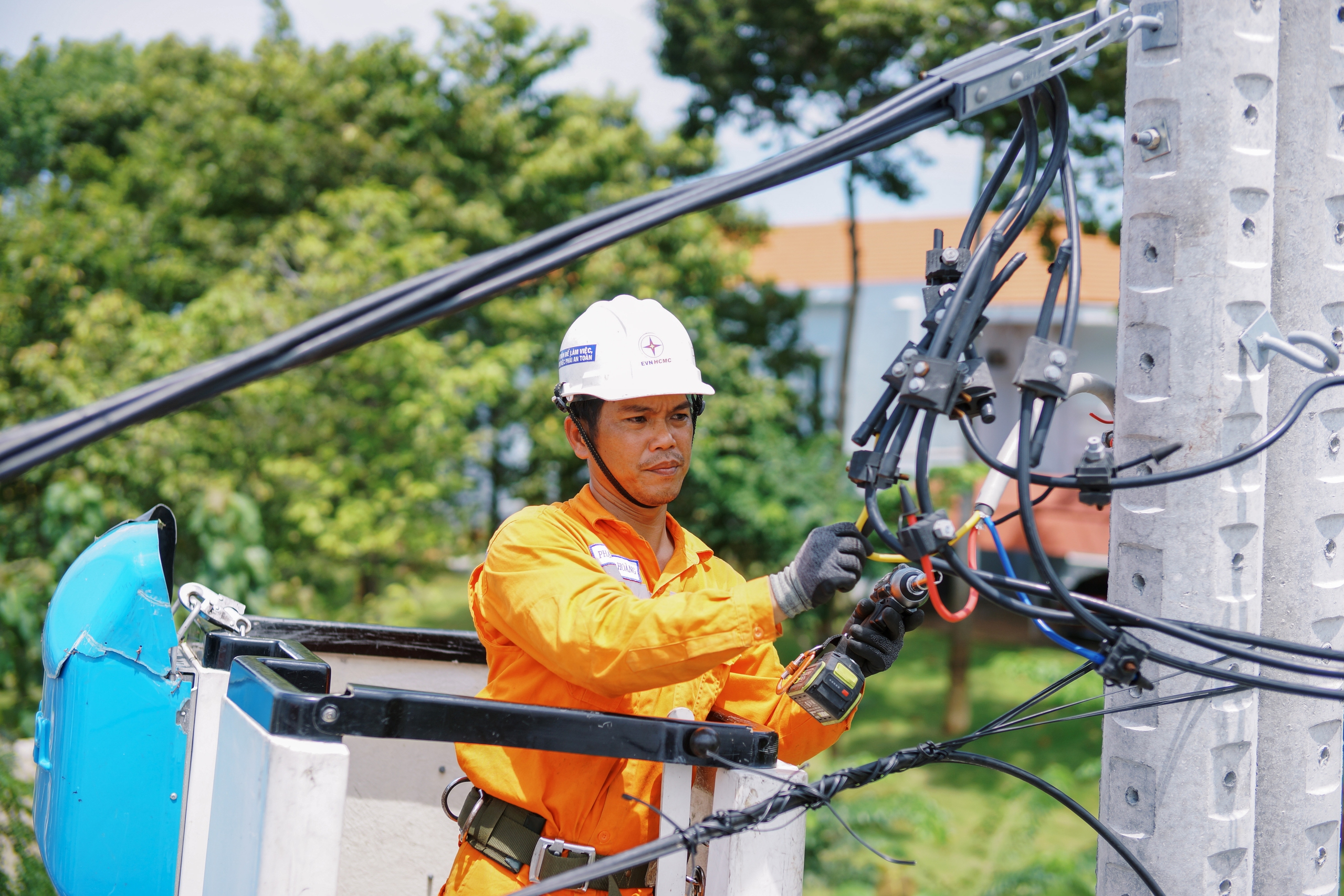 Ảnh dự thi: Vươn cao giữ sáng - Ảnh 2.