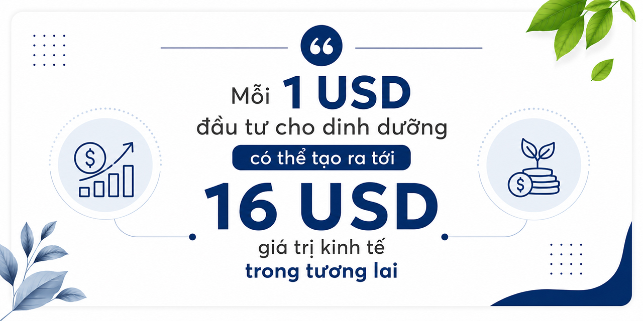 - Ảnh 11.