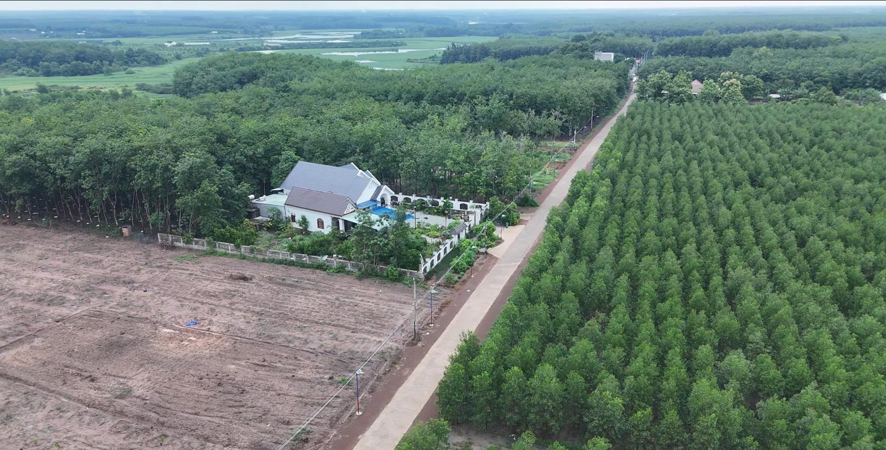 Đồng Nai: Dân hiến đất mở đường giúp ngân sách tiết kiệm hơn 16 tỉ đồng - Ảnh 5.