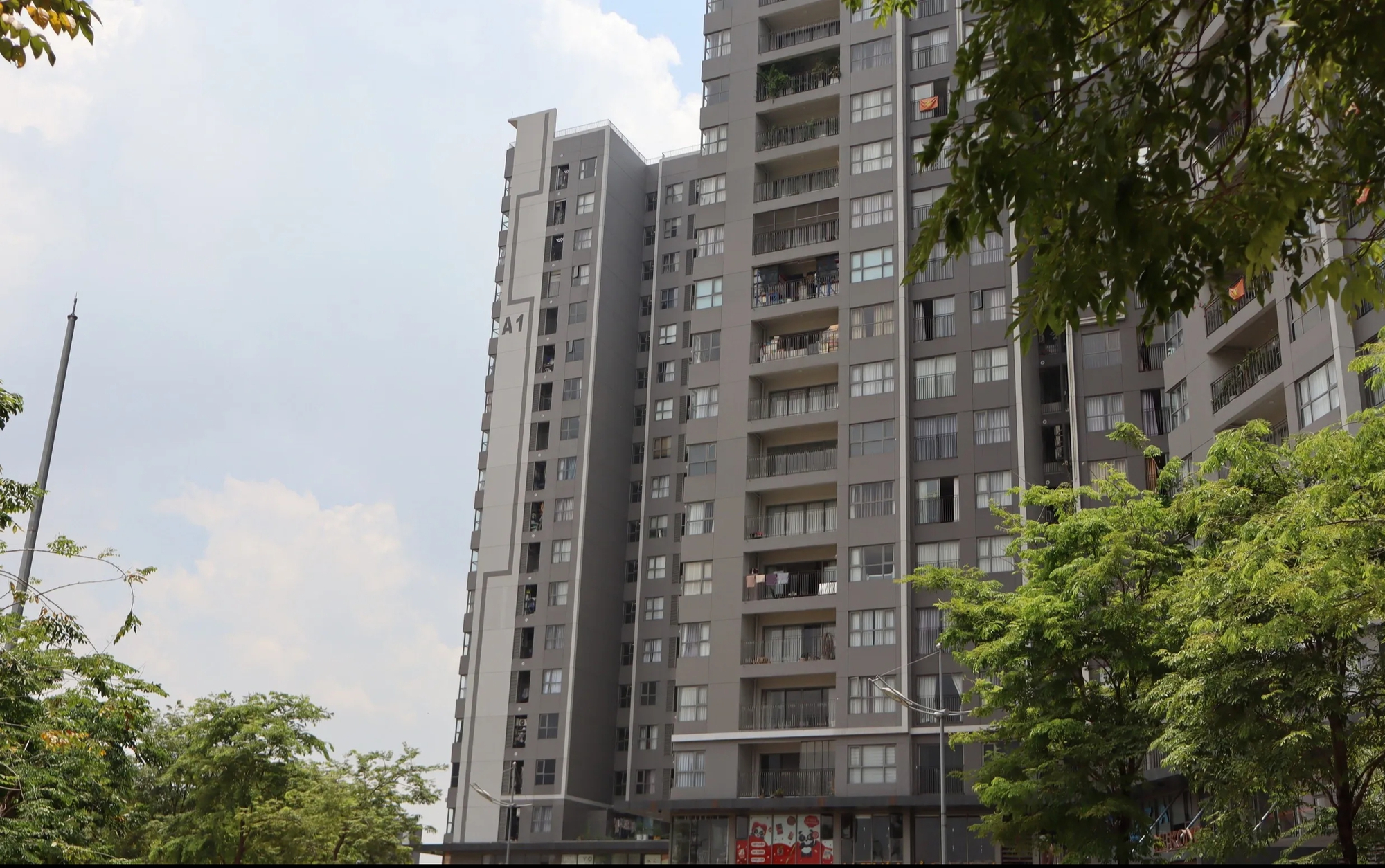 Khi việc mua nh&agrave; ng&agrave;y c&agrave;ng kh&oacute;, người trẻ chuyển hướng đi thu&ecirc; - Ảnh 1.