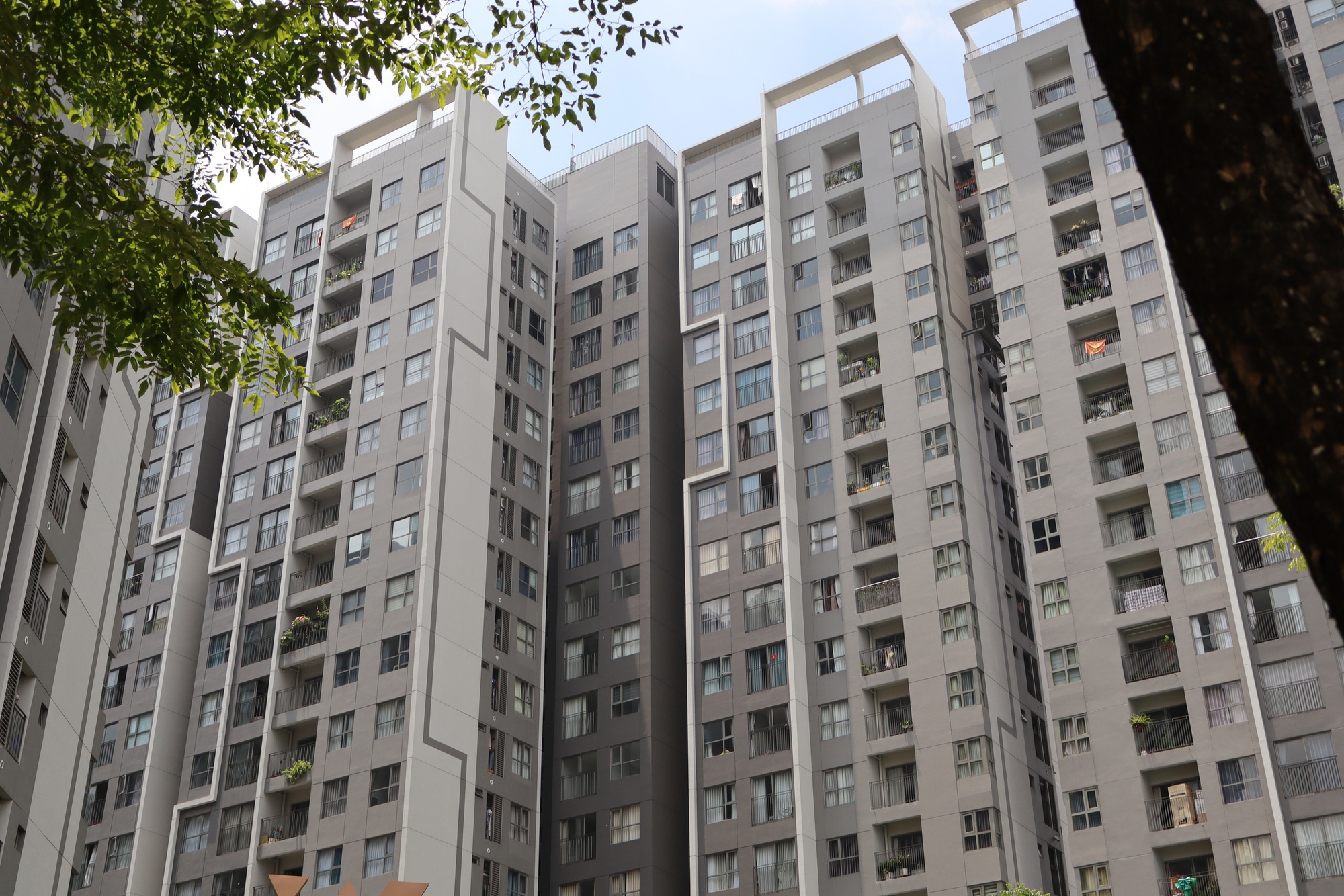 Khi việc mua nh&agrave; ng&agrave;y c&agrave;ng kh&oacute;, người trẻ chuyển hướng đi thu&ecirc; - Ảnh 3.