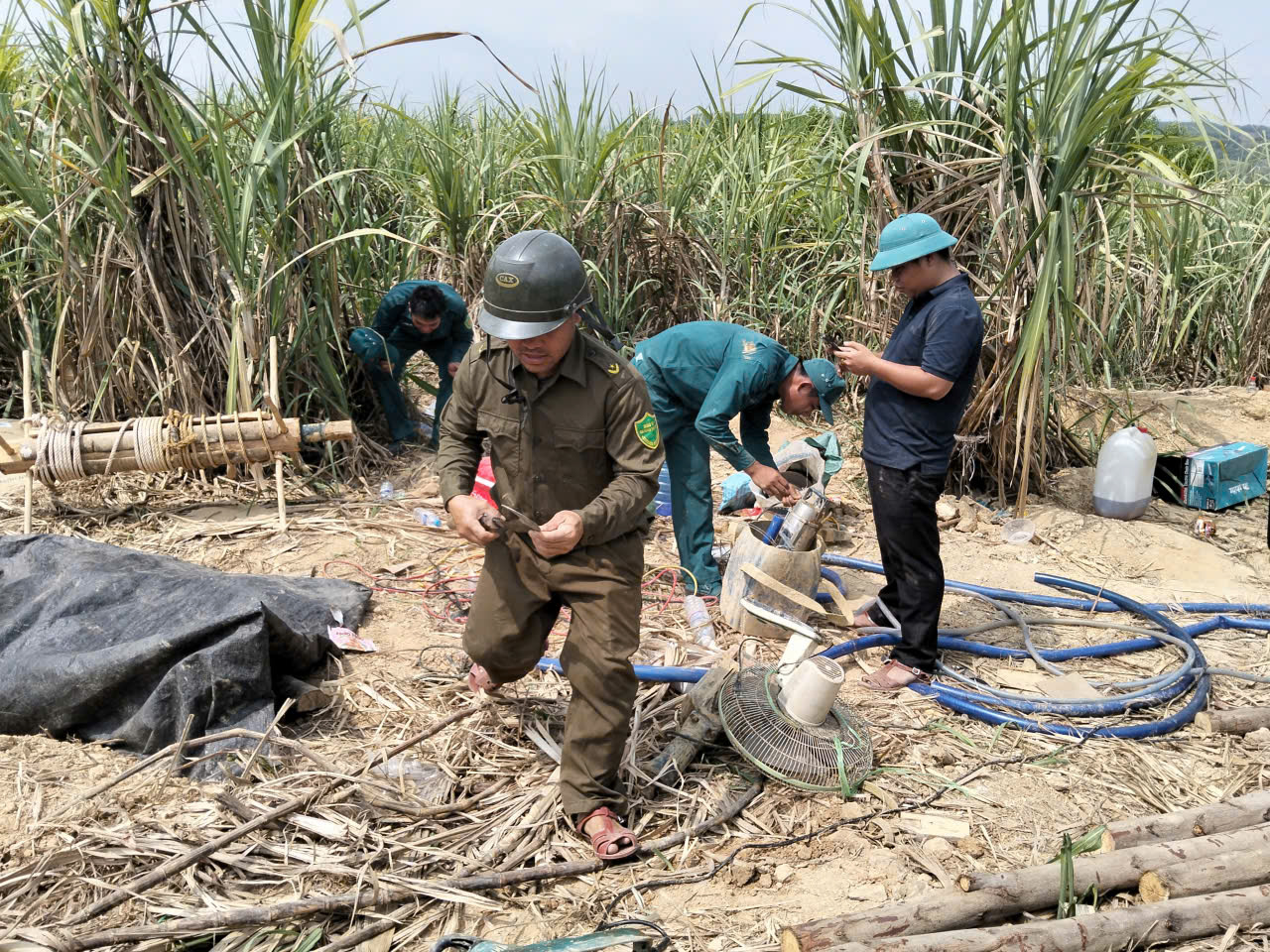Yêu cầu xử lý vụ khai thác vàng trong rẫy mía ở Đắk Lắk- Ảnh 1.