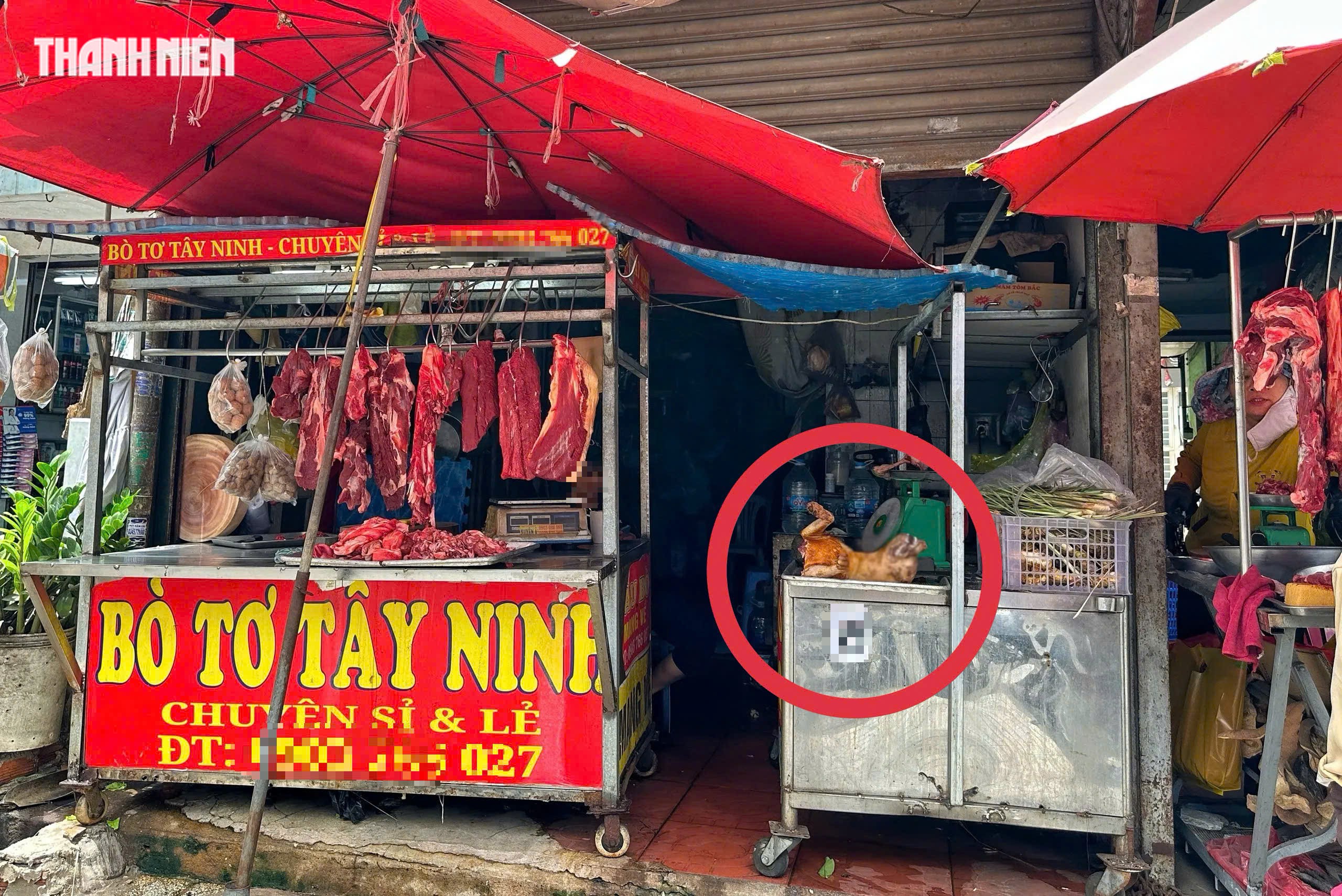 Những phố thịt chó nổi tiếng ở TP.HCM 'chết dần', sao nhiều người còn bán cầy tơ? - Ảnh 1.