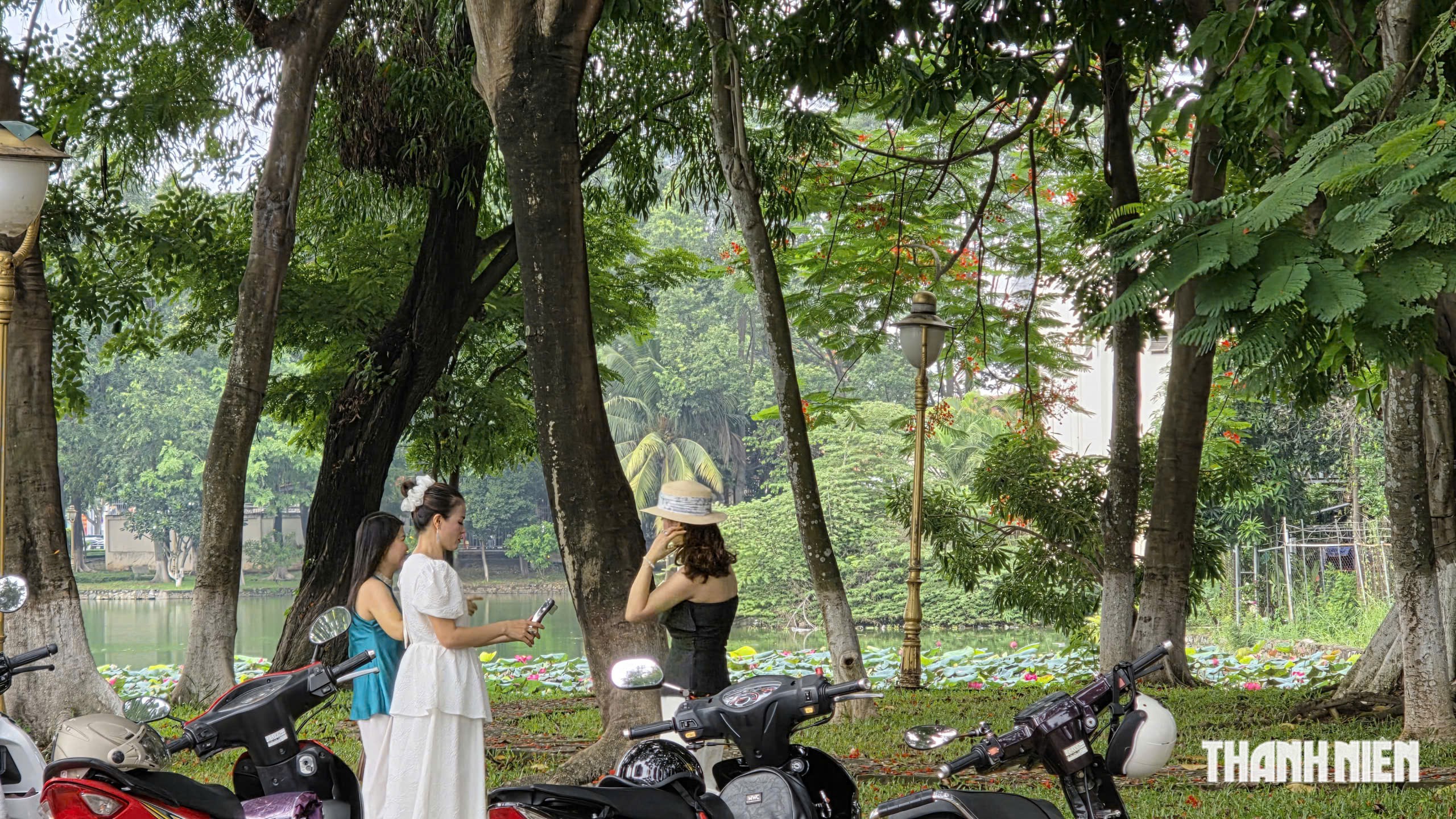 Hồ sen ở c&ocirc;ng vi&ecirc;n Đồng Nai nở rộ, h&uacute;t người d&acirc;n dạo m&aacute;t - Ảnh 5.