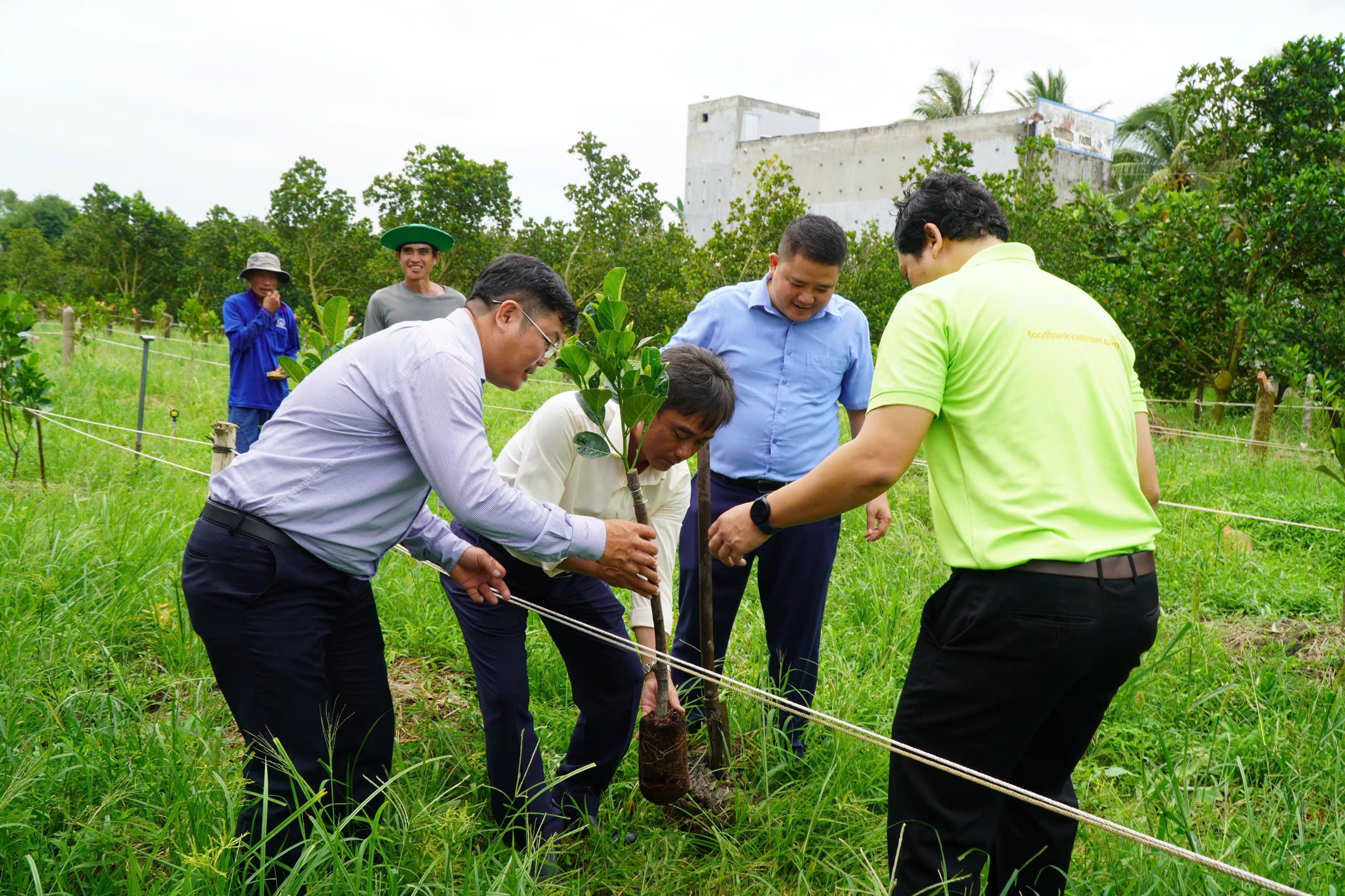 Xây dựng thương hiệu ‘Mít ruột đỏ Cái Ngang’ ở Vĩnh Long- Ảnh 2.